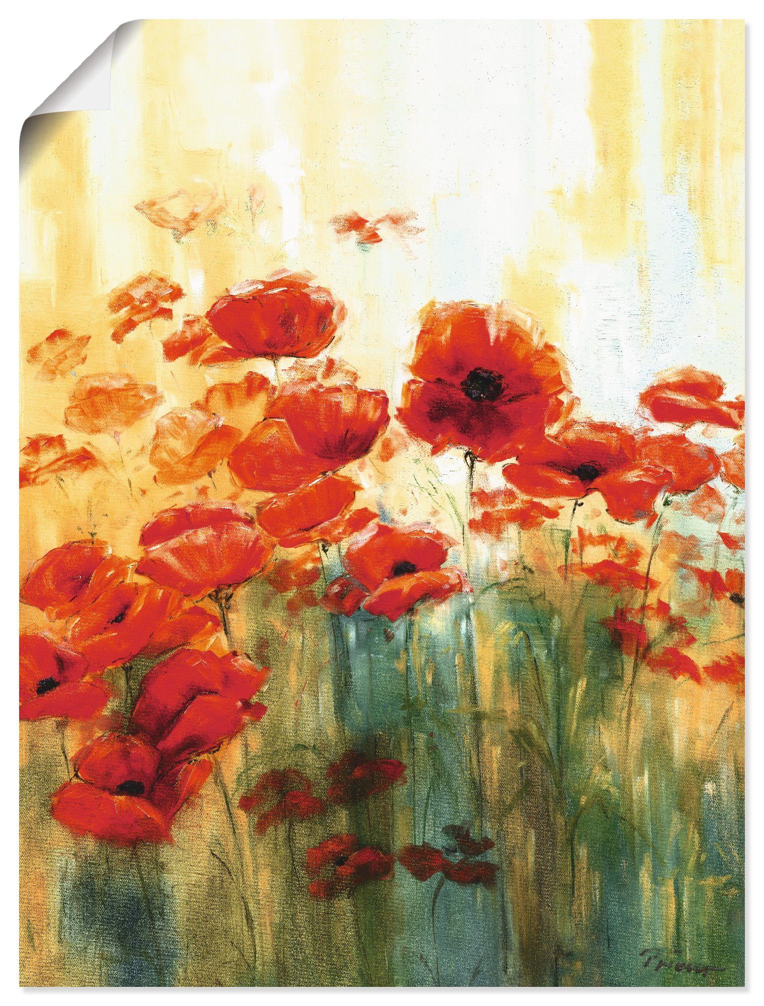 Artland Wandbild Mohnwiese, (1 St), Wandaufkleber Poster in als versch. Alubild, Größen oder Blumen Leinwandbild