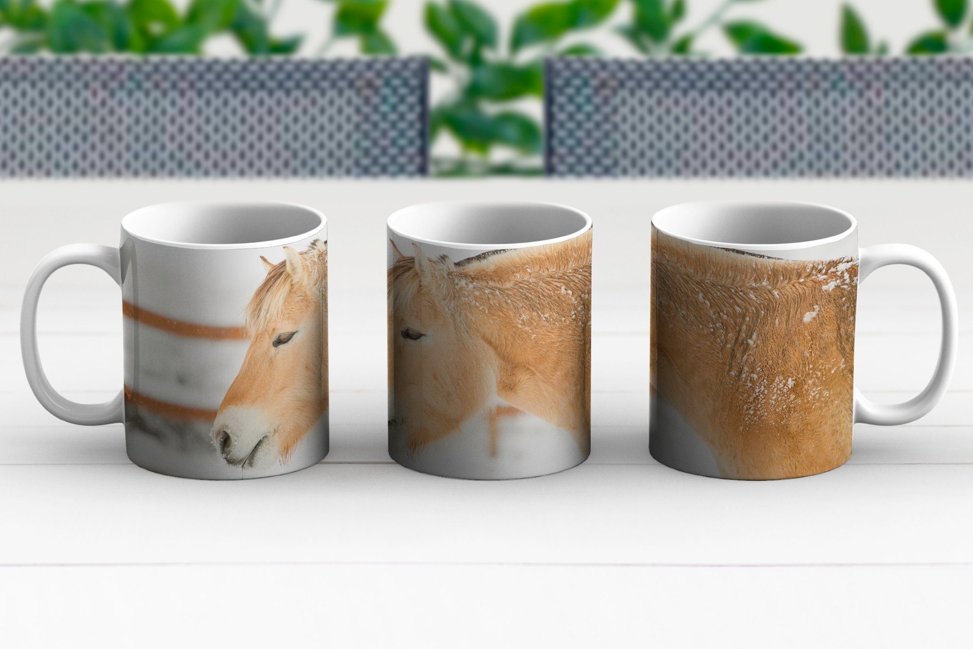 Becher, Geschenk im MuchoWow Teetasse, eines Tasse Teetasse, Fjordpferdes Nahaufnahme Keramik, Kaffeetassen, Schnee,