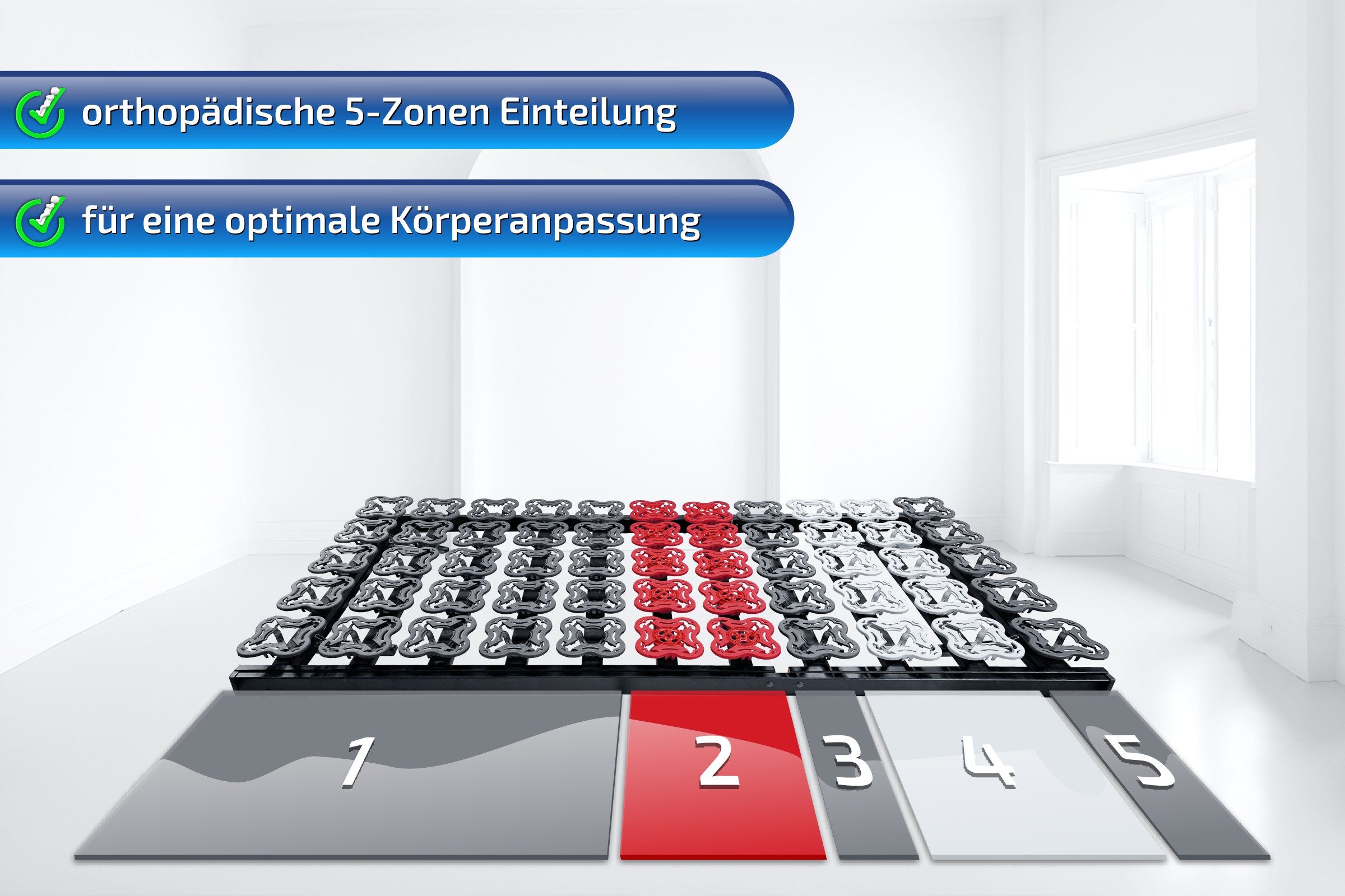 Tellerlattenrost anpassungsfähiger T-Flex, KF Lattenrost de Luxe bis 300 KG Tragkraft, Matratzen Perfekt, Kopfteil VERSTELLBAR, Fußteil VERSTELLBAR, Tellermodule im Hüftbereich verstellbar