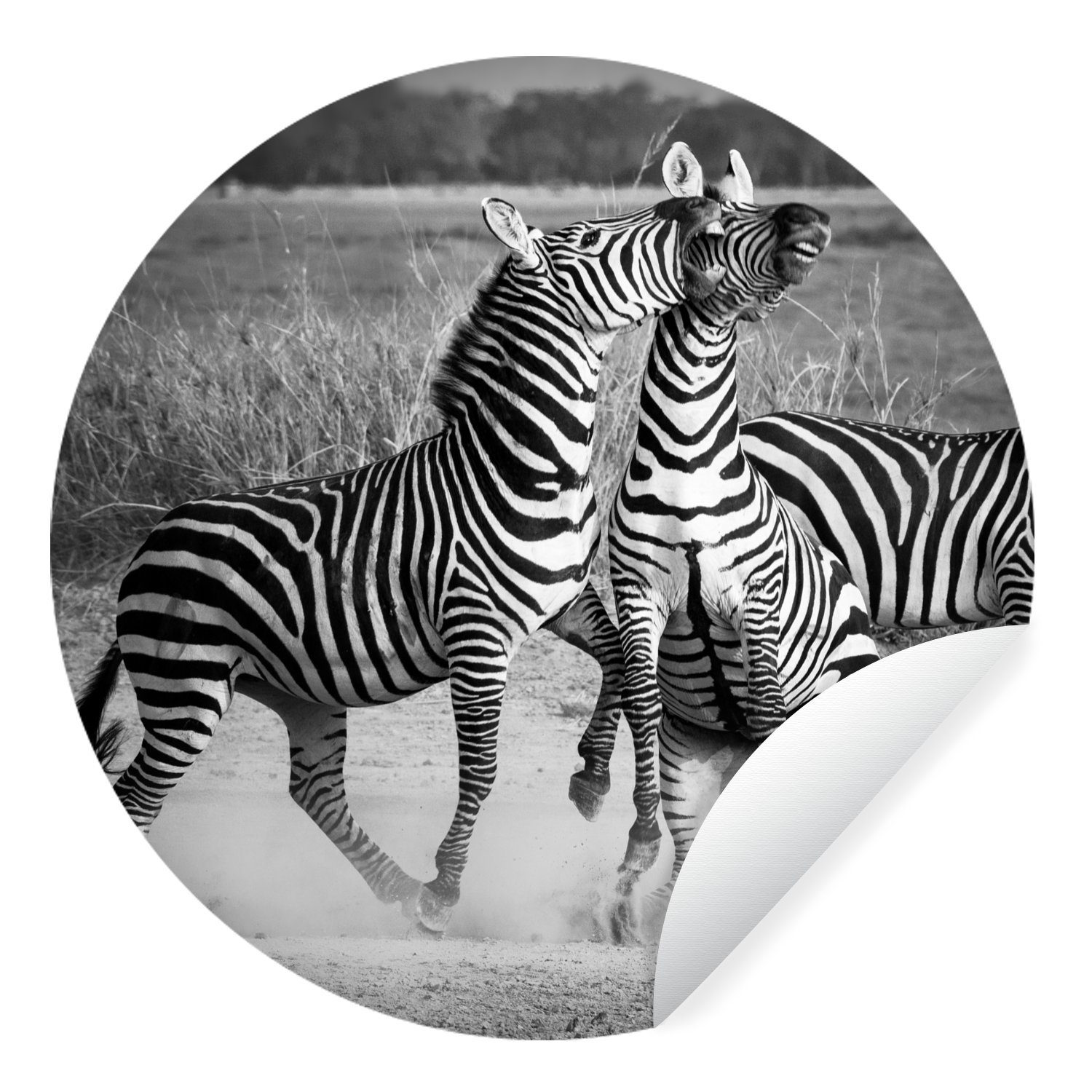 MuchoWow Wandsticker Kämpfende Zebras (1 St), Tapetenkreis für Kinderzimmer, Tapetenaufkleber, Rund, Wohnzimmer