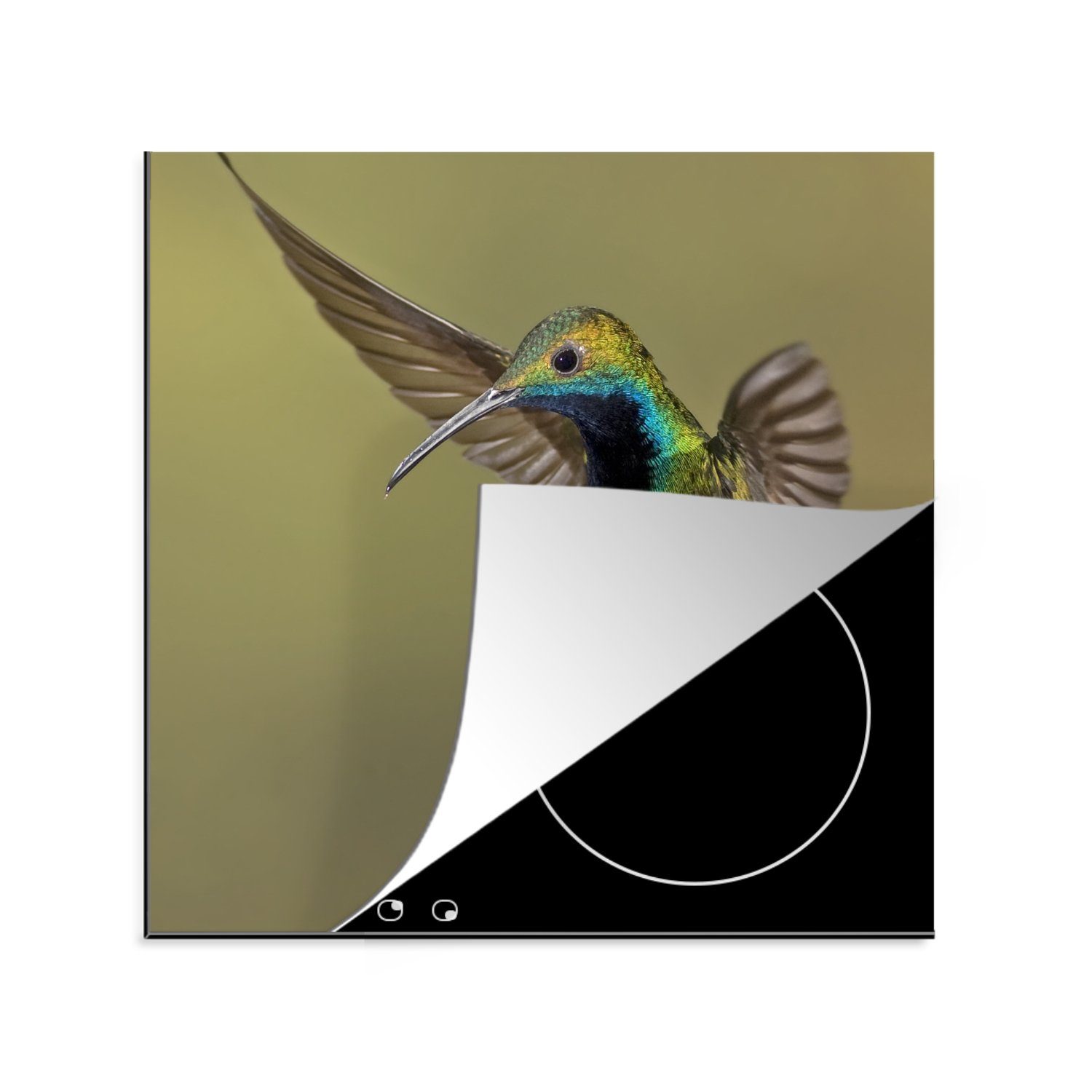 MuchoWow Herdblende-/Abdeckplatte Kolibri - Grün - Lila, Vinyl, (1 tlg), 78x78 cm, Ceranfeldabdeckung, Arbeitsplatte für küche
