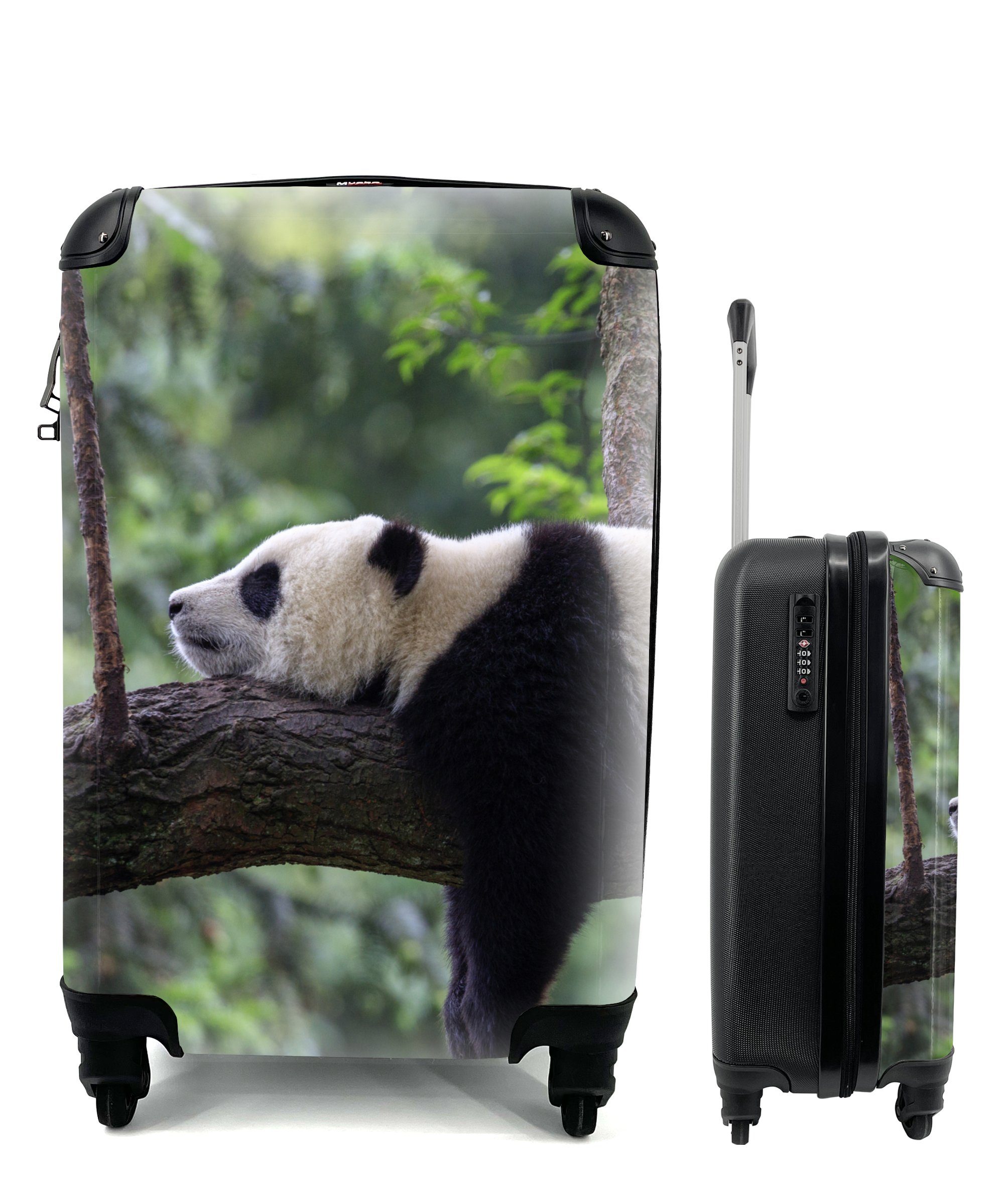 MuchoWow Handgepäckkoffer Panda - Baum - Tiere - Natur, 4 Rollen, Reisetasche mit rollen, Handgepäck für Ferien, Trolley, Reisekoffer | Handgepäck-Koffer