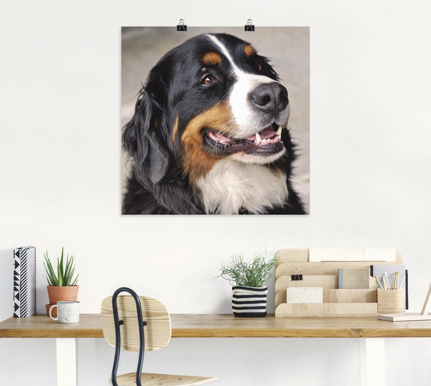 Artland Wandbild »Berner Sennenhund«, Haustiere (1 Stück), in vielen Größen & Produktarten -Leinwandbild, Poster, Wandaufkleber / Wandtattoo auch für Badezimmer geeignet-HomeTrends