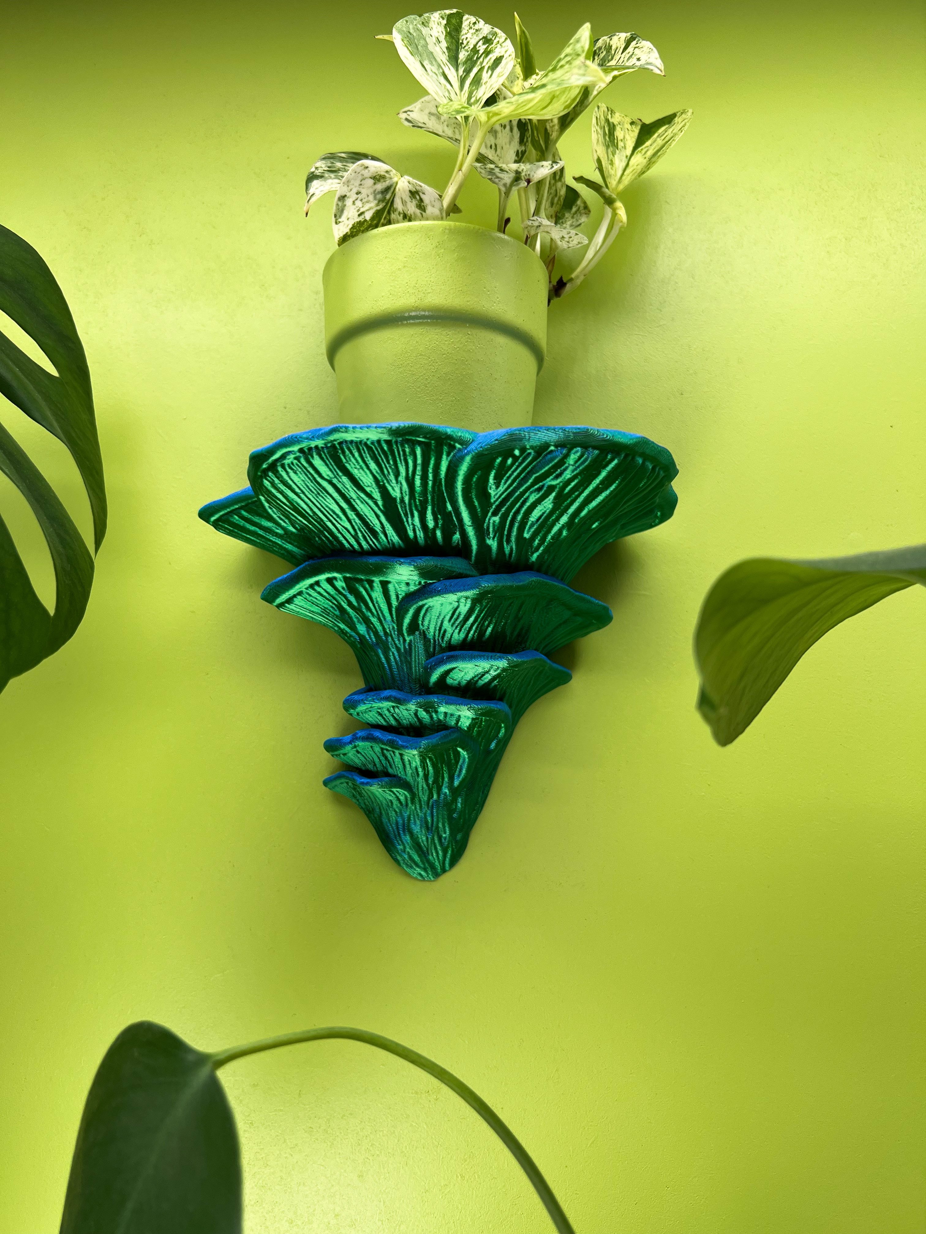 Roomberry Deko-Wandregal Flamingo-Seitling Pilz Wandregal, Hergestellt günstig online kaufen