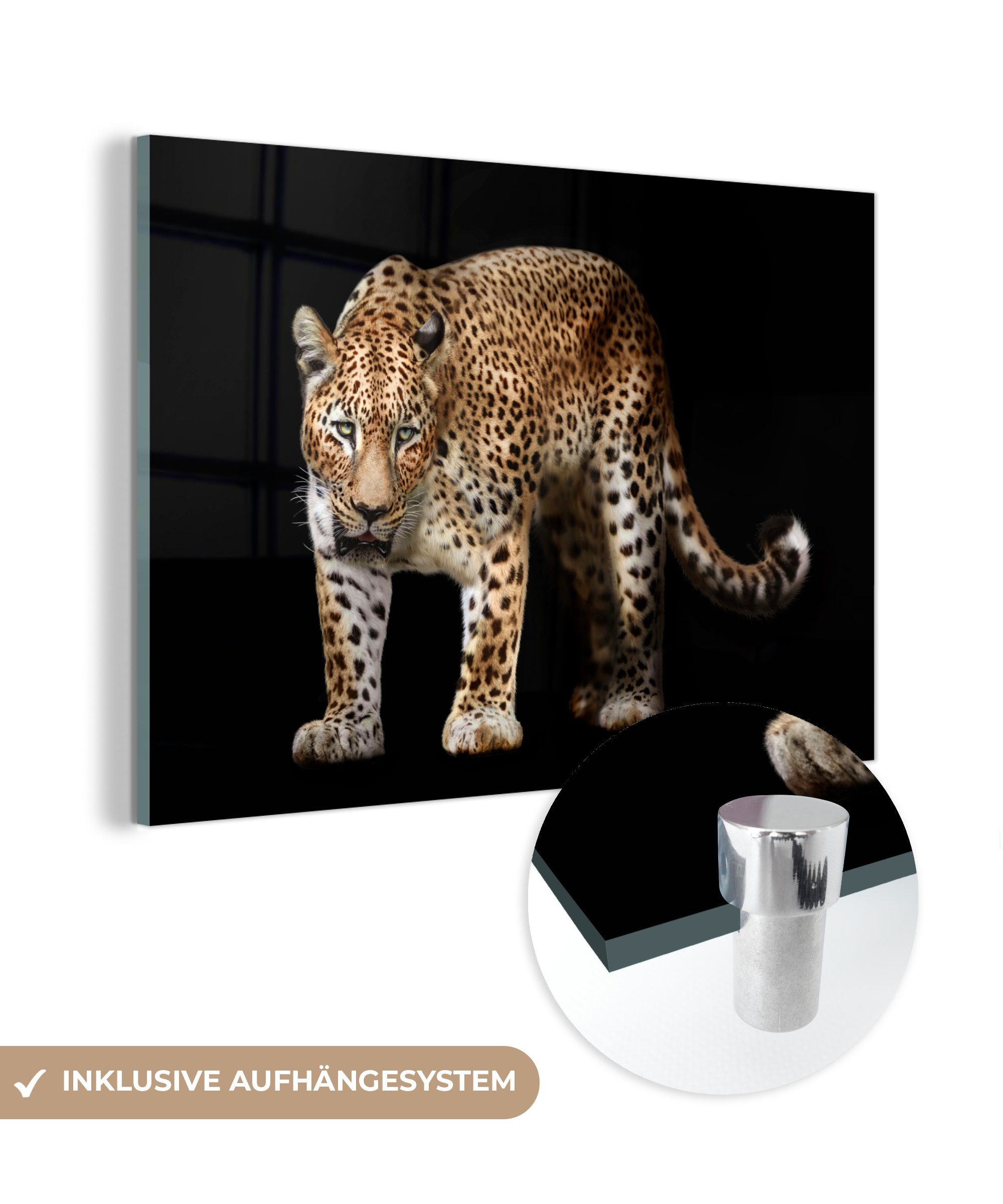MuchoWow Acrylglasbild Wild Glas Bilder Glas Leopard Schwarz, Foto - - St), auf - - Wanddekoration Glasbilder Wandbild (1 - auf
