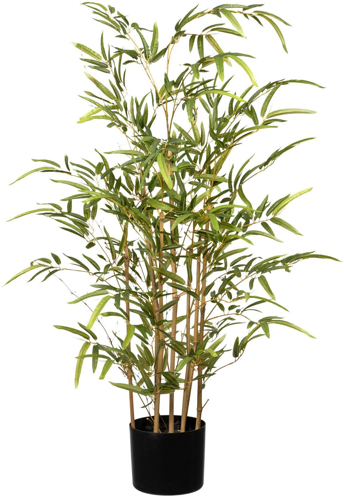Kunstbaum Bambus Bambus, Creativ green, Höhe 100 cm