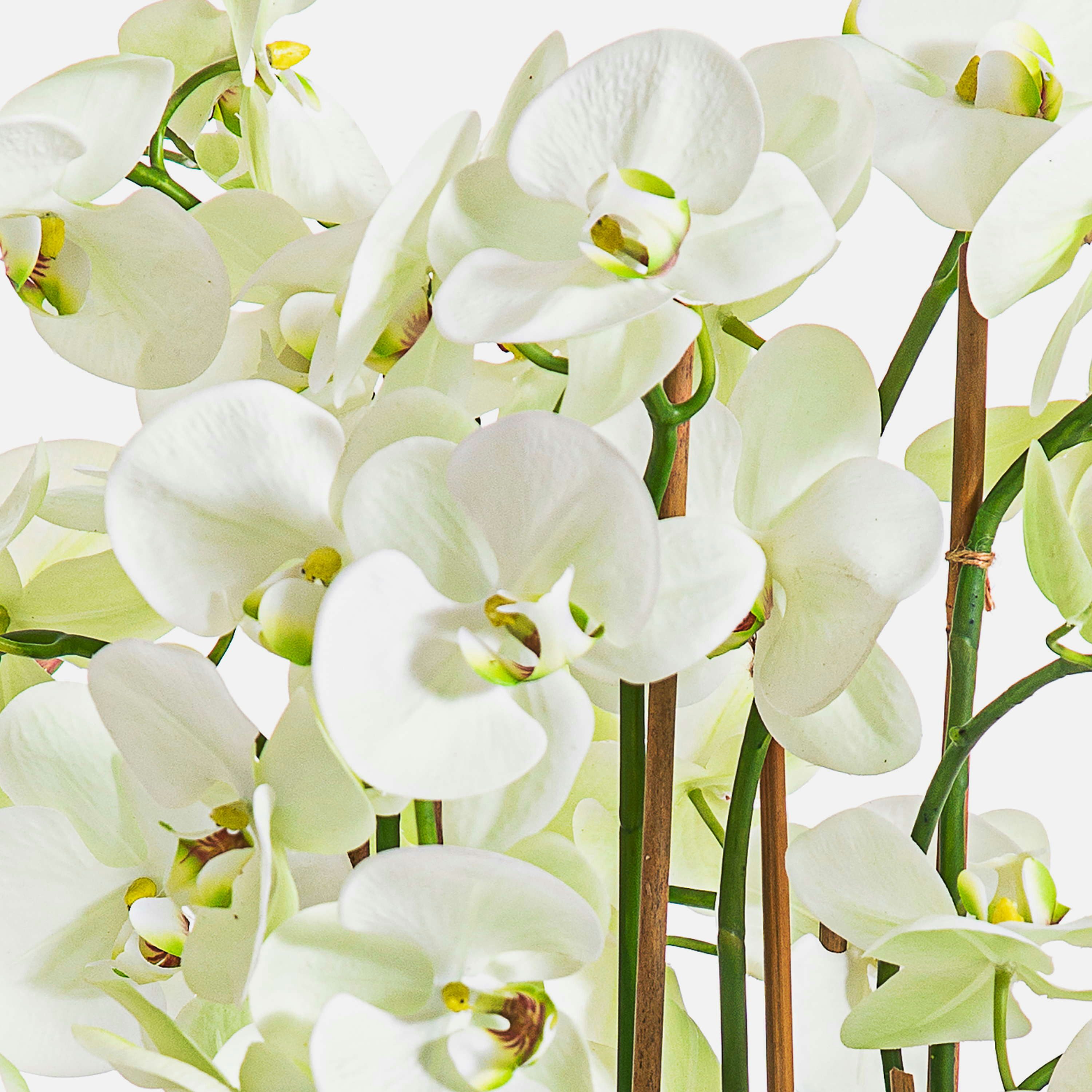 Kunstorchidee Künstliche Orchidee FINEA im Dekotopf, Creme, 85cm Orchidee (Orchidee phalaenopsis), artplants, Höhe 85.0 cm