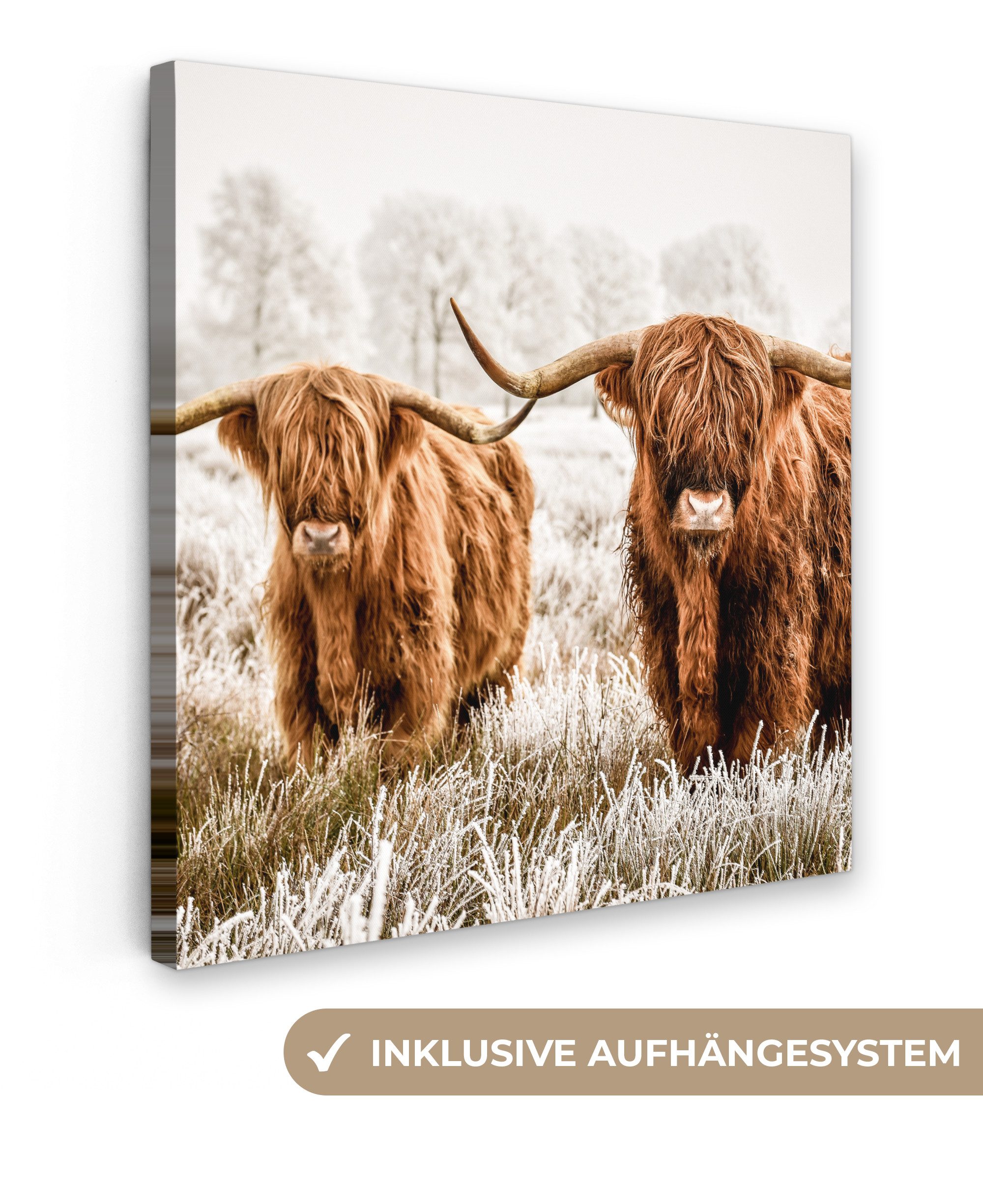 OneMillionCanvasses® Leinwandbild Schottischer Hochländer - Kuh - Natur - W günstig online kaufen
