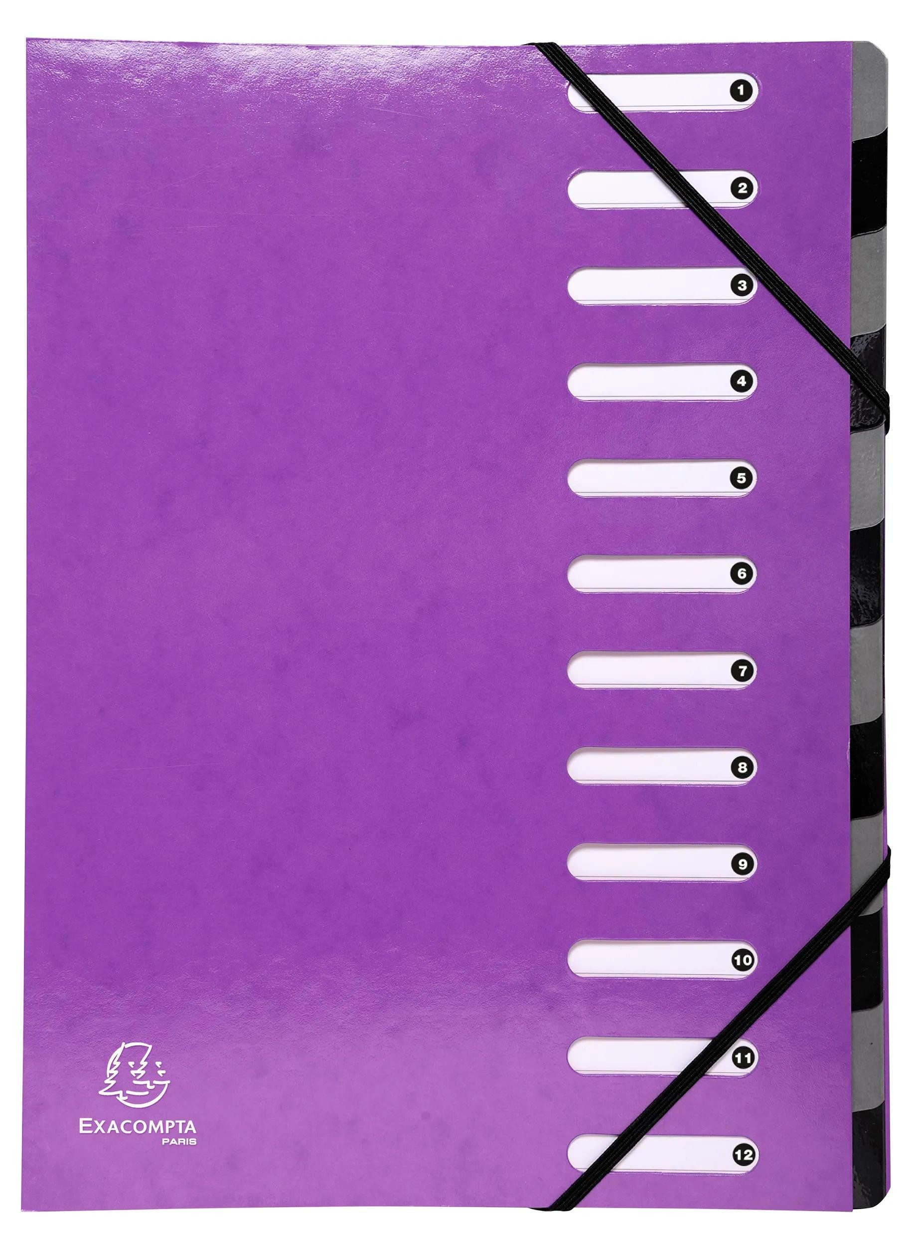 EXACOMPTA Fächermappe 6x Ordnungsmappe Harmonika dehnbar Karton 12 Fächer Violett 53926E, Deckel Manila dehnbare Ordnungsmappe