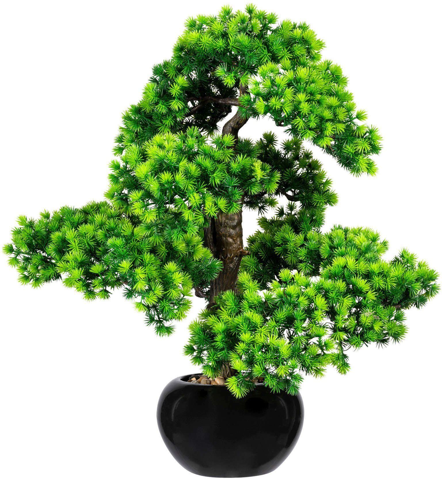Kunstbonsai Bonsai Lärche Bonsai Lärche, Creativ green, Höhe 60 cm, im Kera günstig online kaufen