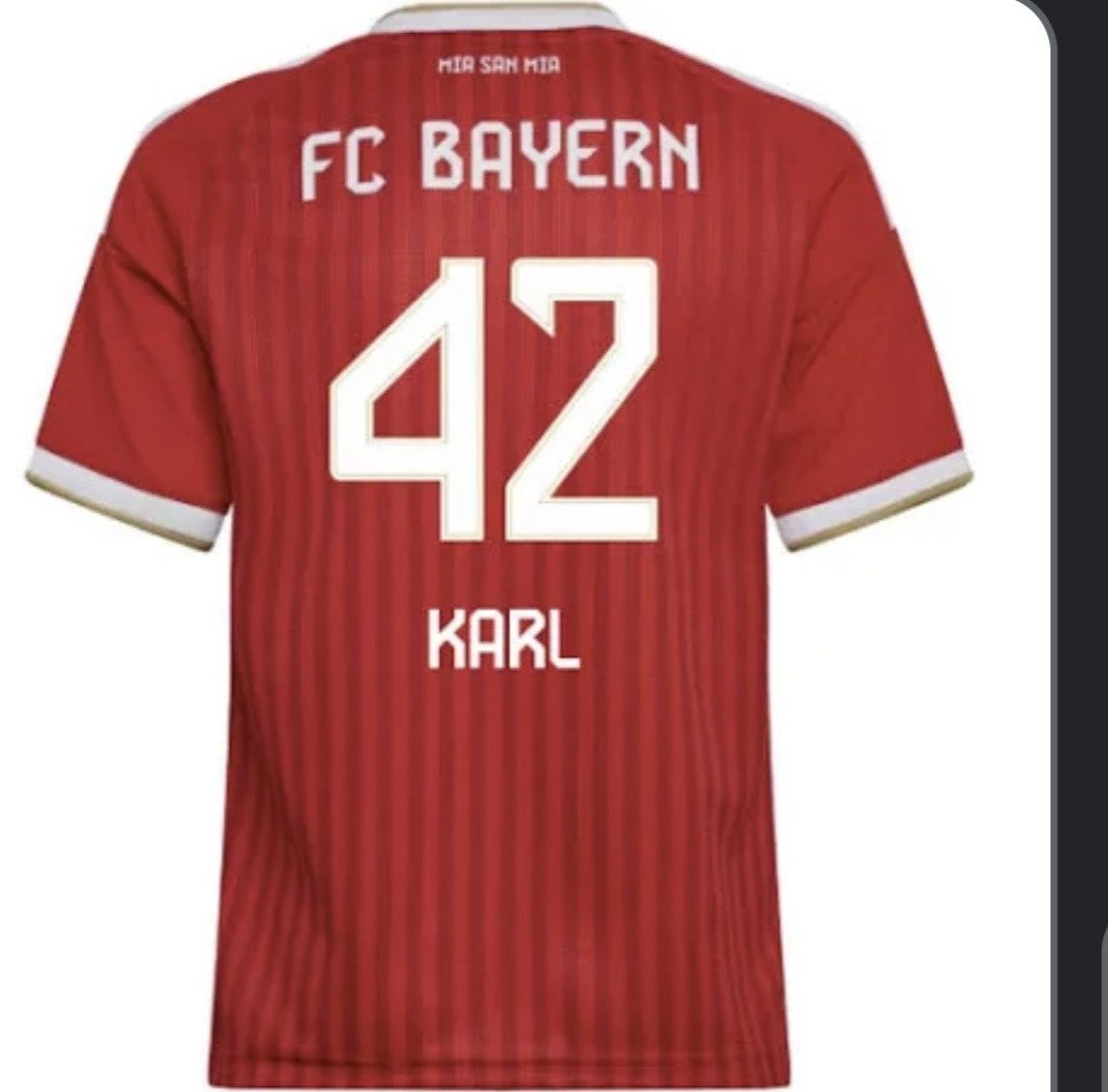 adidas Performance Fußballtrikot karl home 2027