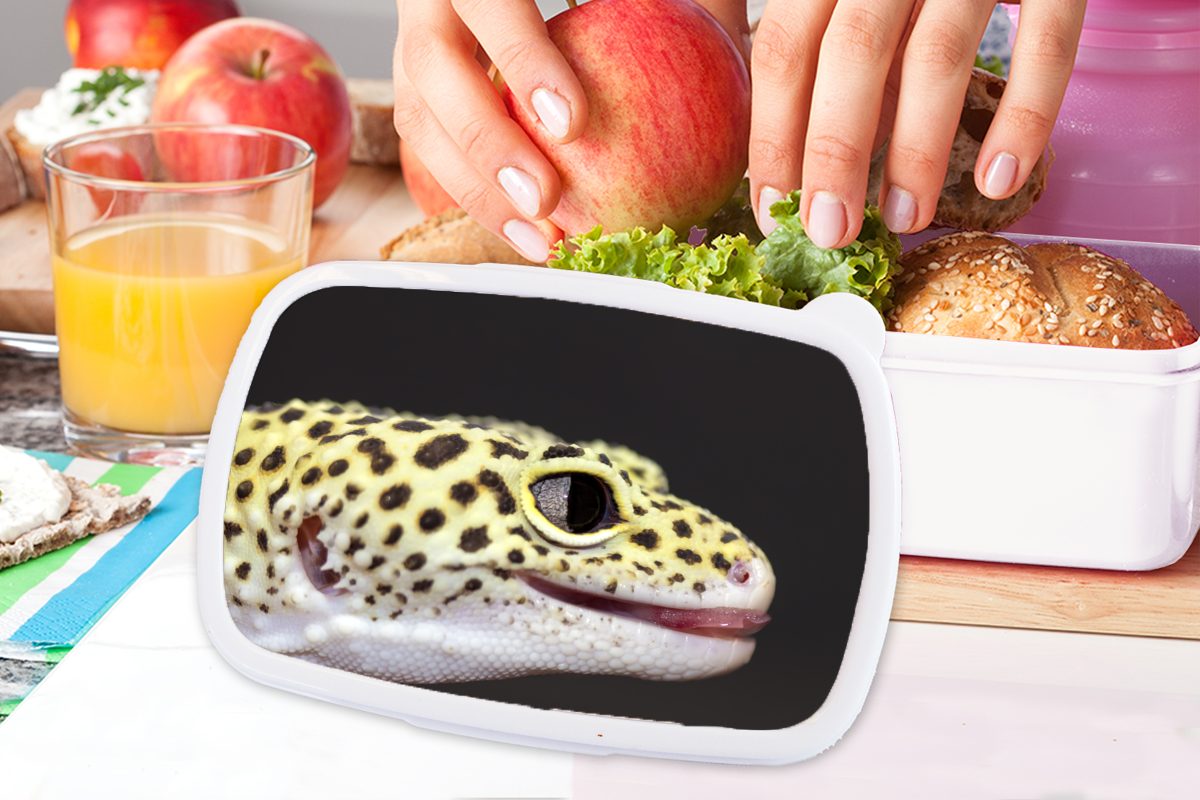 für und Erwachsene, Lunchbox weiß und Kinder (2-tlg), Brotbox MuchoWow Brotdose, für Kunststoff, Mädchen Nahaufnahme Jungs Leopardgecko,