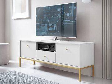 MIRJAN24 TV-Schrank Mono Gold MRTV154 (mit Schublade und 2 Türen) Griffe aus Aluminium, Metall Untergestell 18 x 18 mm
