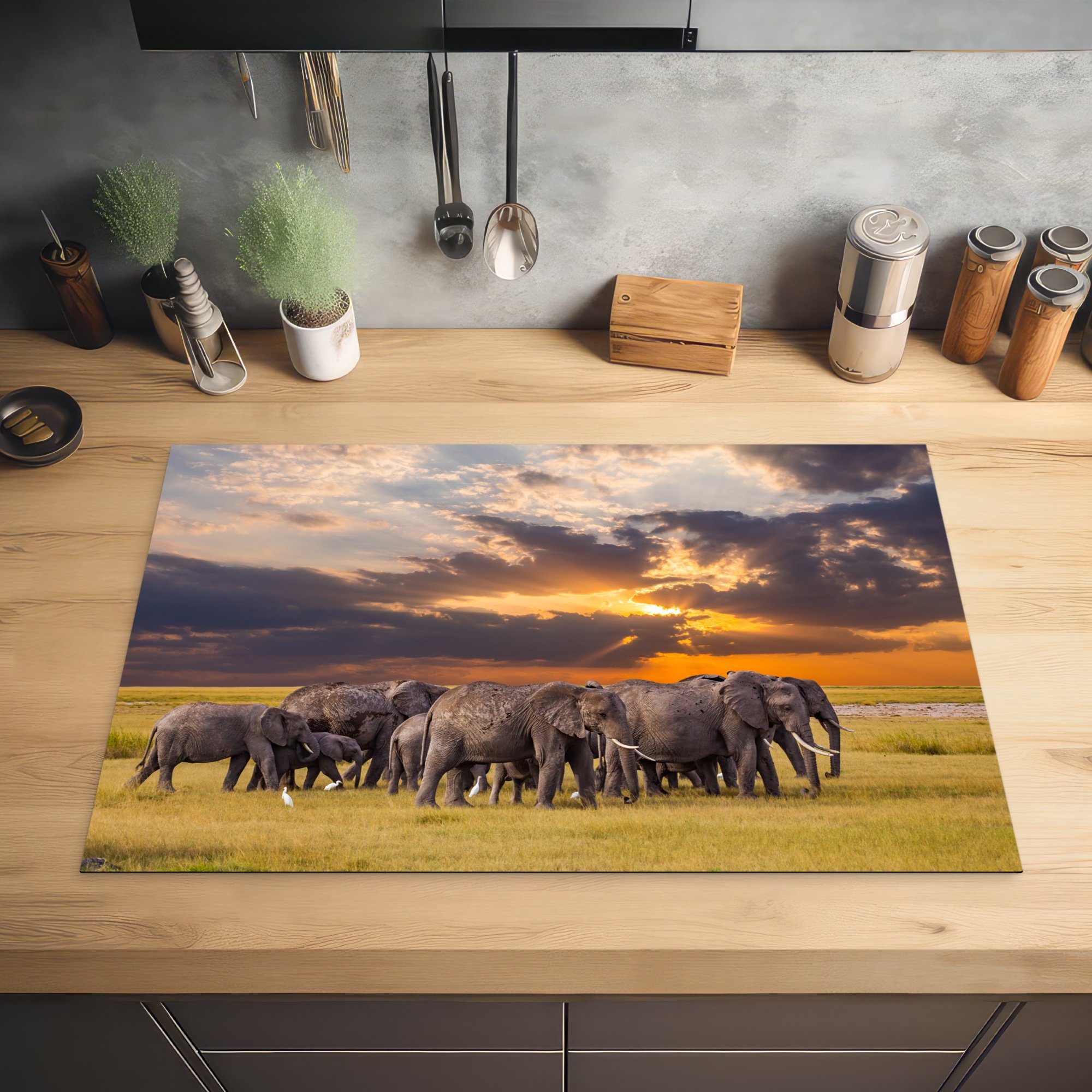 MuchoWow Tiere Elefant - die Gras 81x52 tlg), Schutz - cm, für küche, (1 Herdblende-/Abdeckplatte Induktionskochfeld - - Sonnenuntergang Ceranfeldabdeckung Vinyl, Natur,