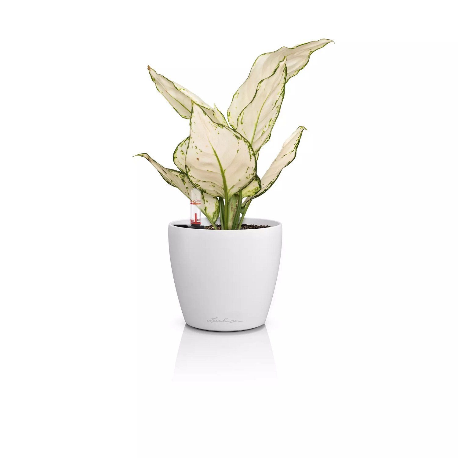 Lechuza® Blumentopf Lechuza Classico Color 12 weiß 16691 (Komplettset)