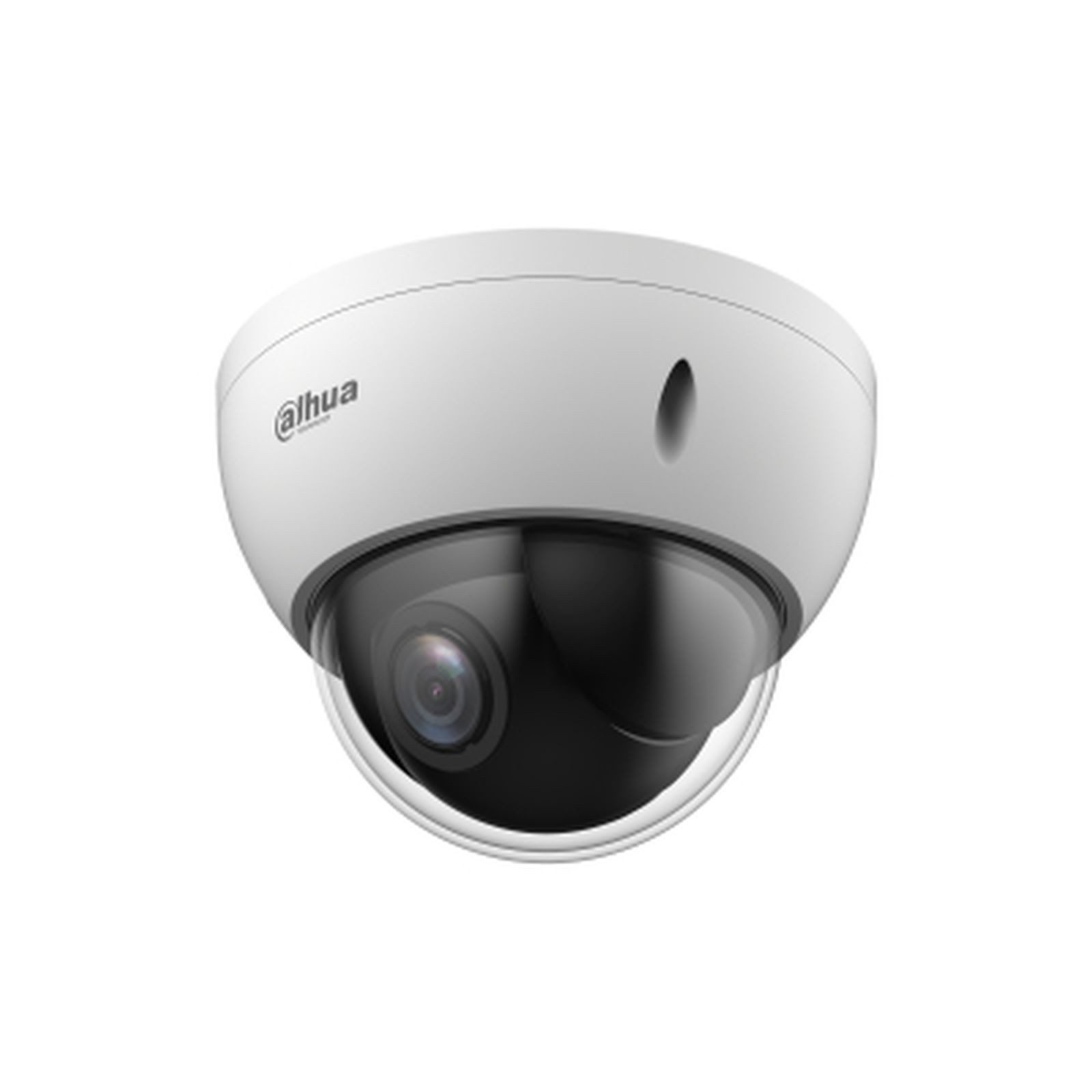Dahua Überwachungskamera Technology WizSense SD22204DB-GNY, IP-Sicherheitskamera, Innen & Außen