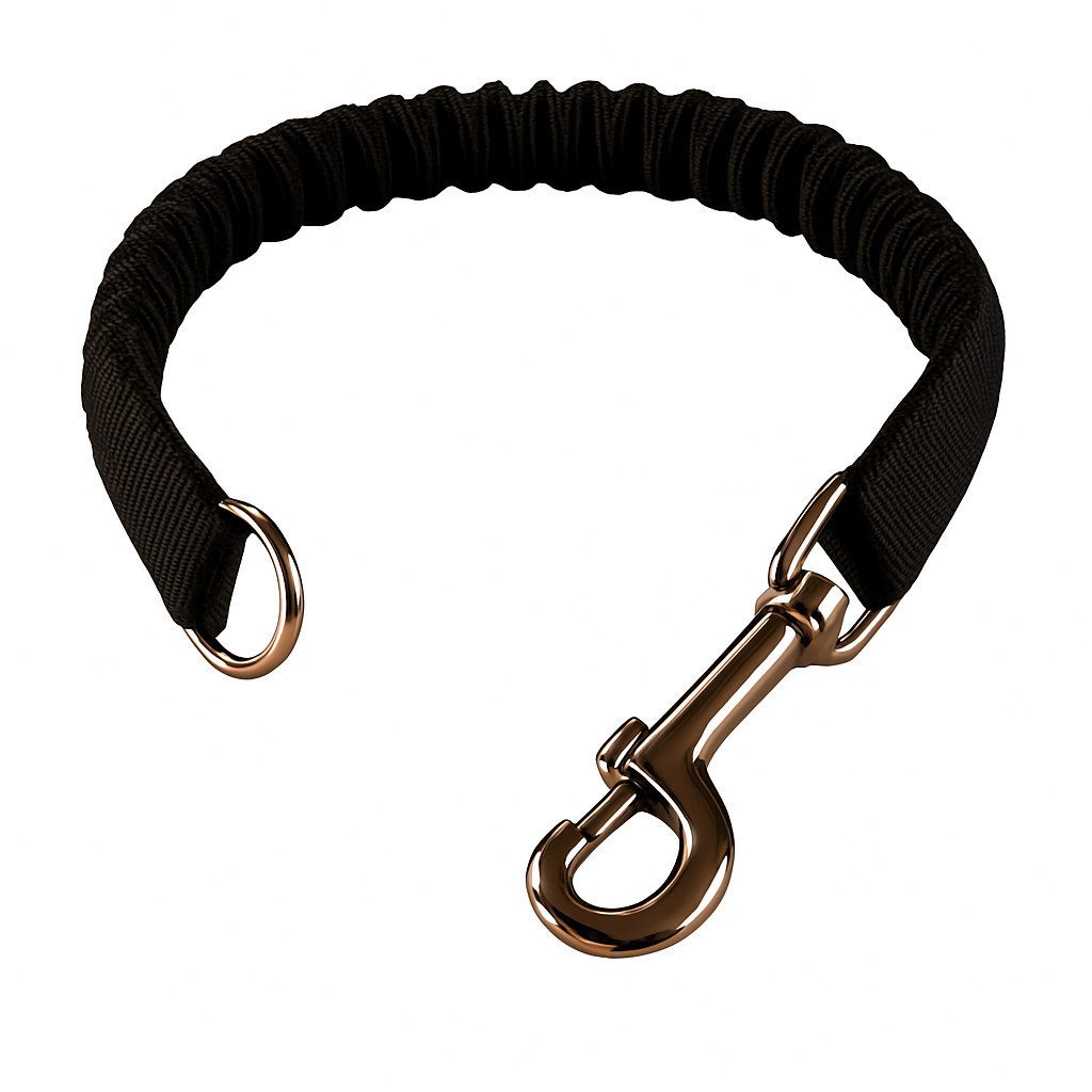 Beroni Leine Rückdämpfer Katze für Katzenleine Bungee am Katzengeschirr Halsband, Schutz für Gelenke & Wirbelsäule – elastisch, Premium Katzenzubehör