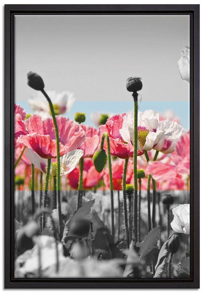 Pixxprint Leinwandbild Blumenwiese Mohnblumen schwarz/weiß, Wanddekoration (1  St), Leinwandbild fertig bespannt, in einem Schattenfugen-Bilderrahmen  gefasst, inkl. Zackenaufhänger