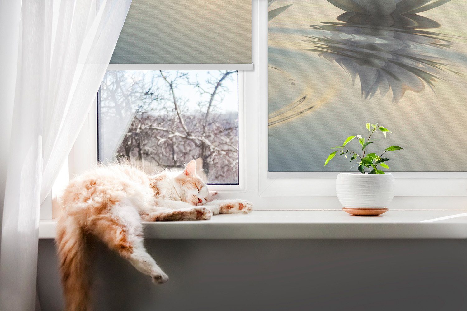 Rollo für Fenster mit Aufdruck Lotus Blume, Tulup, abdunkelnd, Verschraubung, Bedruckt