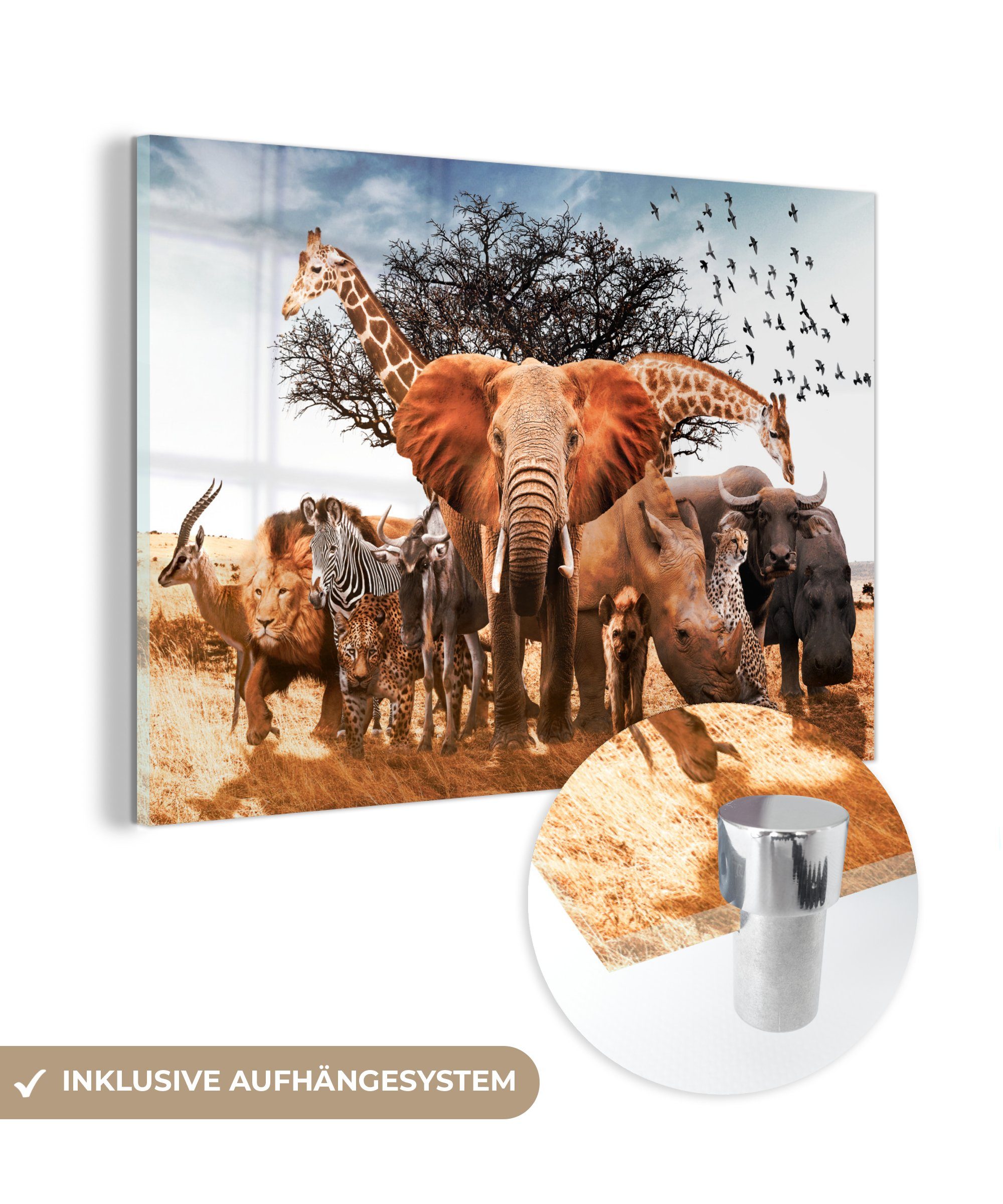 MuchoWow Acrylglasbild Tiere - Giraffe - Elefant, (1 St), Acrylglasbilder Wohnzimmer & Schlafzimmer | Bilder