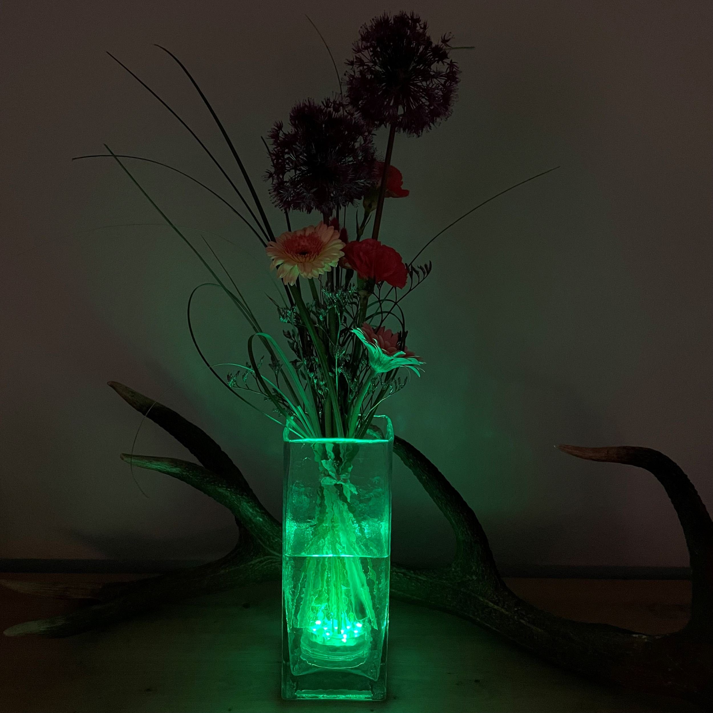 (LEDs LED-Unterwasserbeleuchtung 4- 12 Glasvase 2-, 6-Stunden-Timer, Große Hammerschlag Online-Fuchs mit RGB, hoch LEDs, Tischvase oder herausnehmbar), ECKIG 25 cm