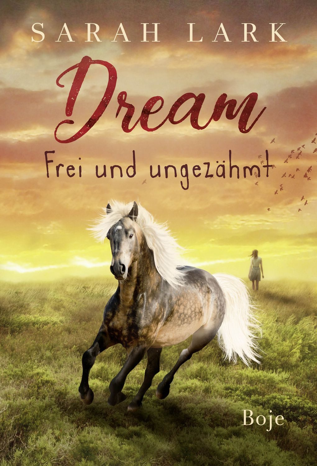 Dream - Frei und ungezähmt / Sarah Lark