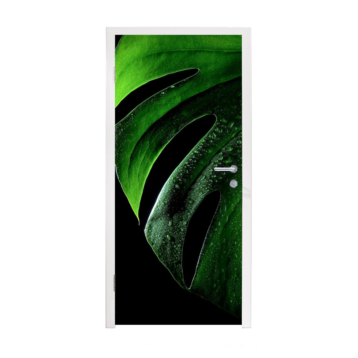 MuchoWow Türtapete (1 einer Fototapete Monstera, cm St), bedruckt, für Tür, Nahaufnahme Matt, Türaufkleber, 75x205