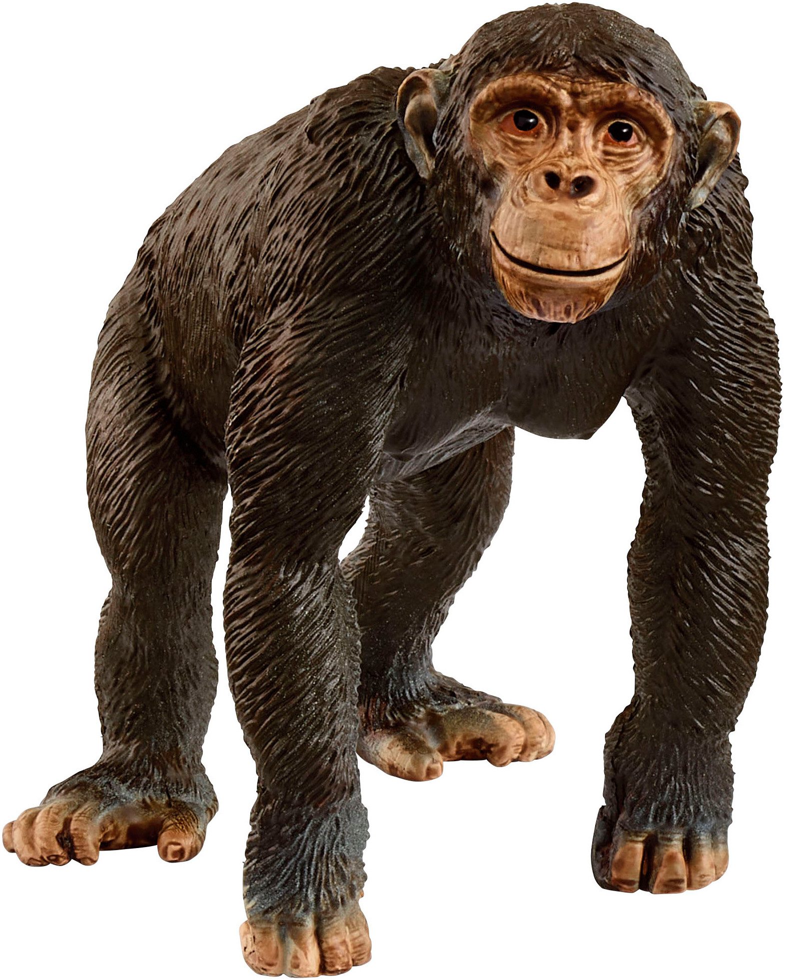 Schleich® Spielfigur WILD LIFE, Schimpanse (14883)