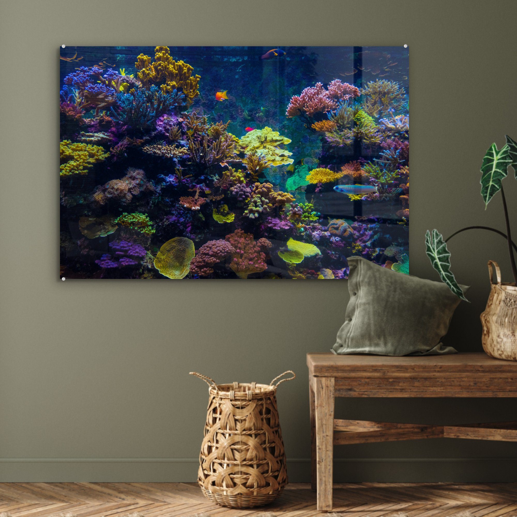 & Wohnzimmer Schlafzimmer St), (1 MuchoWow Fisch, Farben Acrylglasbild - Koralle - Acrylglasbilder