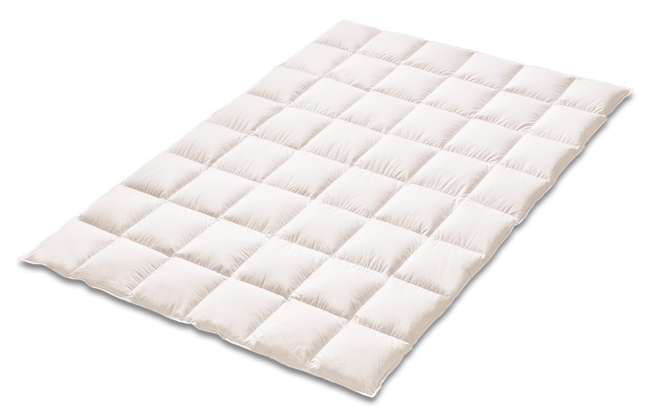 Kauffmann Daunenbettdecke Ganzjahresdaunendecke Superior - Medium mit 1,5 cm Steghöhe, Füllung: 100% Daunen, Bezug: 100% Baumwolle, Ganzjahresdecke mit ausgewogenem Wärmevermögen