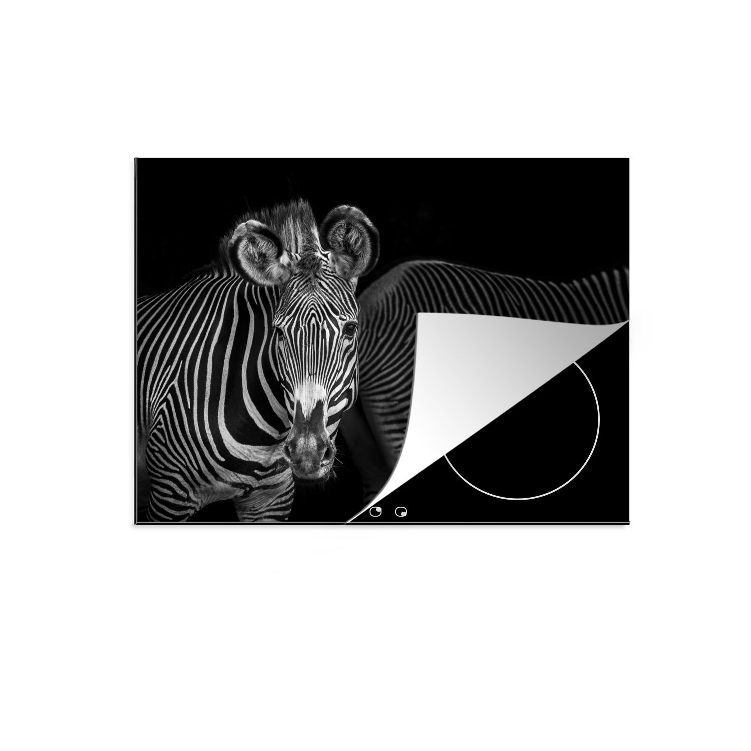 MuchoWow Herdblende-/Abdeckplatte Zebras auf schwarzem Ceranfeldabdeckung tlg), Mobile 70x52 cm, Arbeitsfläche Hintergrund, nutzbar, (1 Vinyl