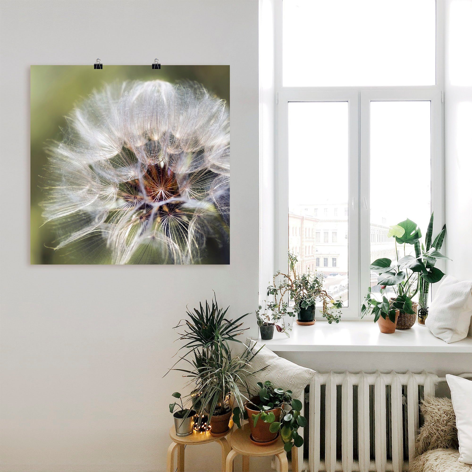 als Artland St), (1 in Wandaufkleber Größen Alubild, II, versch. Blumen Pusteblume oder Wandbild Leinwandbild, Poster