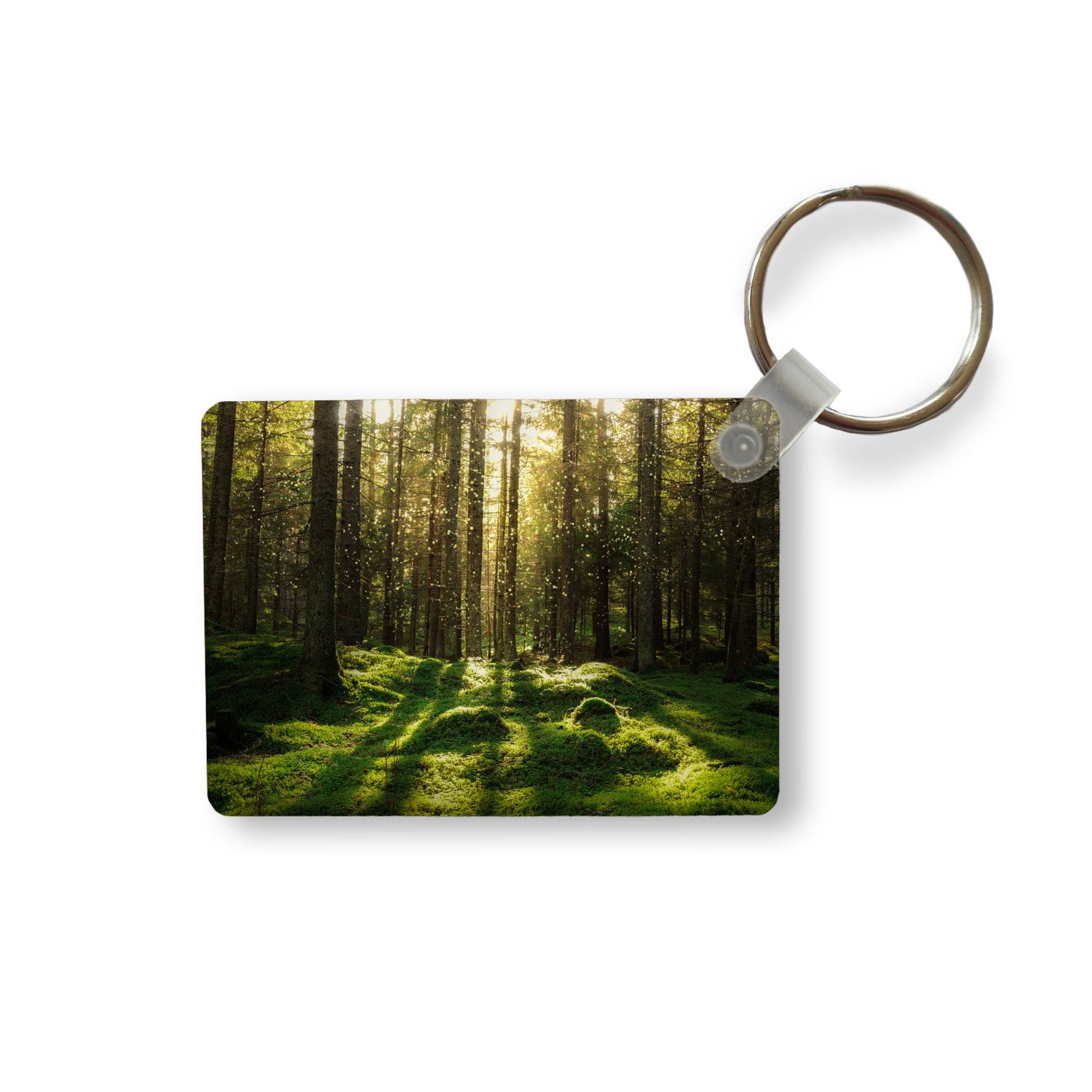 Schlüsselanhänger Bäume - Wald - Moos - Pflanzen - Sonne - Natur
