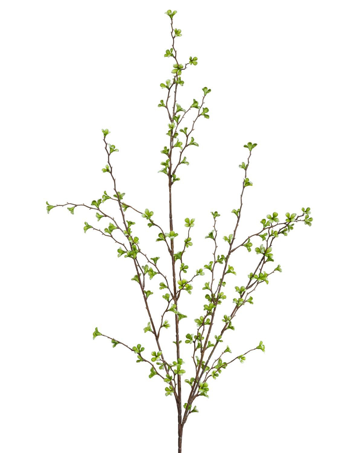 Kunstblume Kunstblumen, formano, Höhe 90 cm, Farbe: Grün, Motiv: Blätter