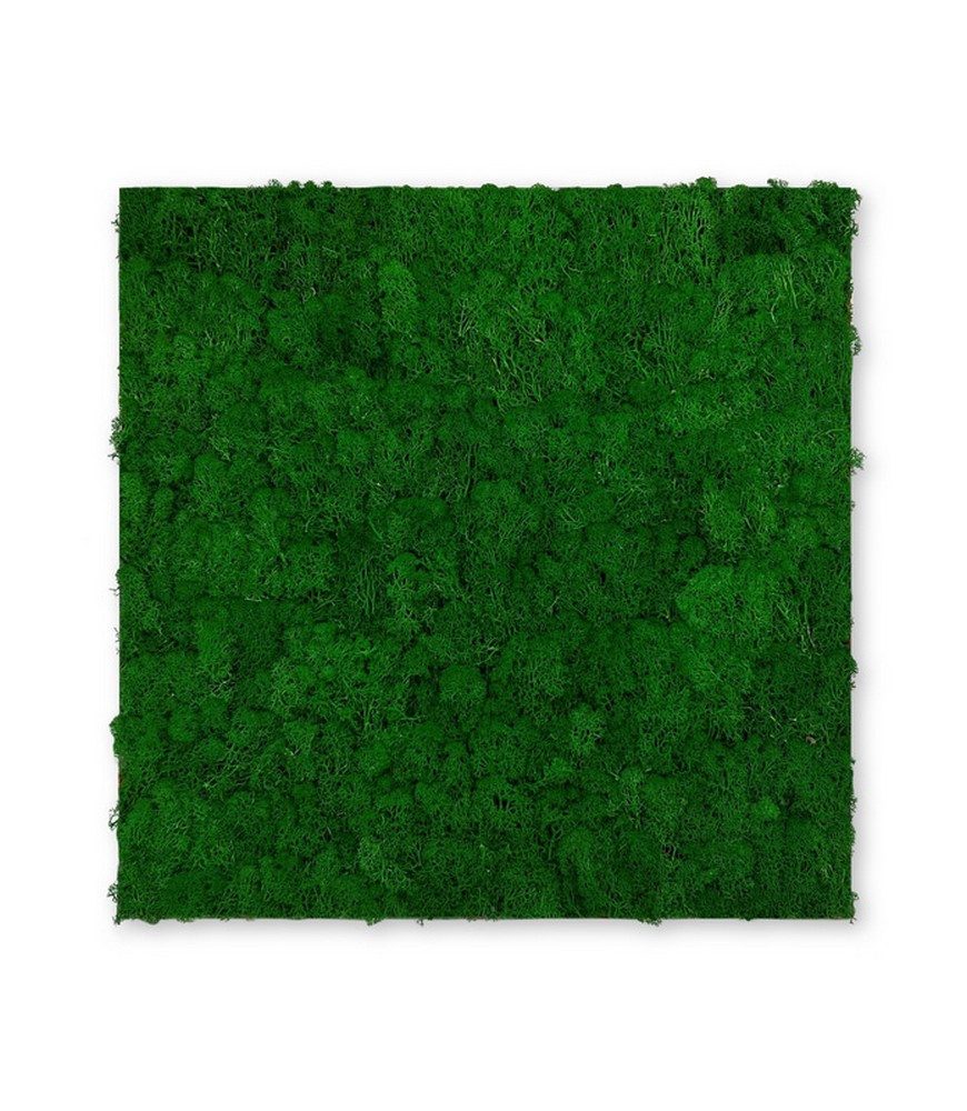 JANGAL 3D Wandpaneel Modular Wall Akustikpaneel, Die Holz- und Steinoberflächen sind aus Echtholz- und Echtsteinfurnier