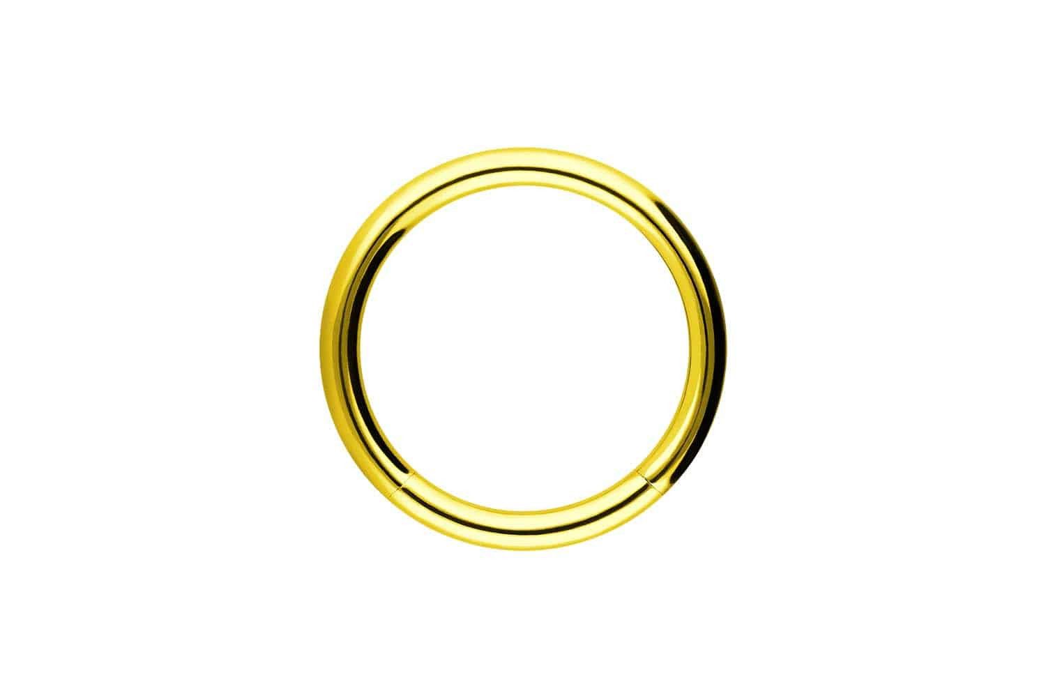 Nasenpiercing Chirurgenstahl Segmentring