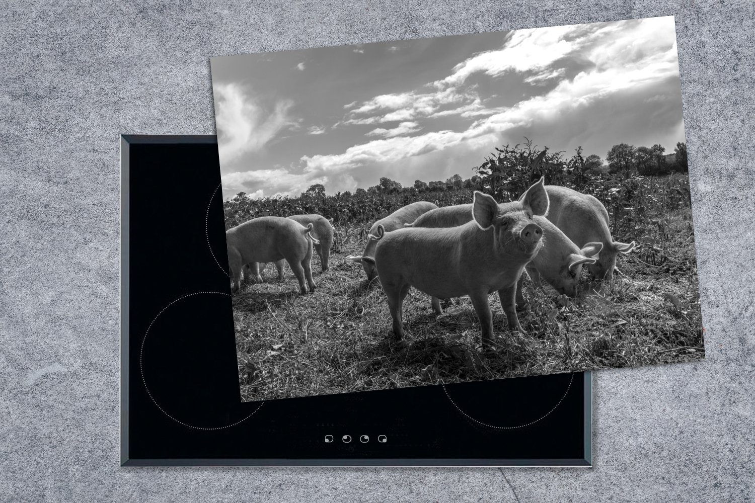 Ceranfeldabdeckung Herdblende-/Abdeckplatte Wiese tlg), nutzbar, cm, MuchoWow 70x52 einer Schweine weiß, Mobile und schwarz (1 Arbeitsfläche - auf Vinyl,