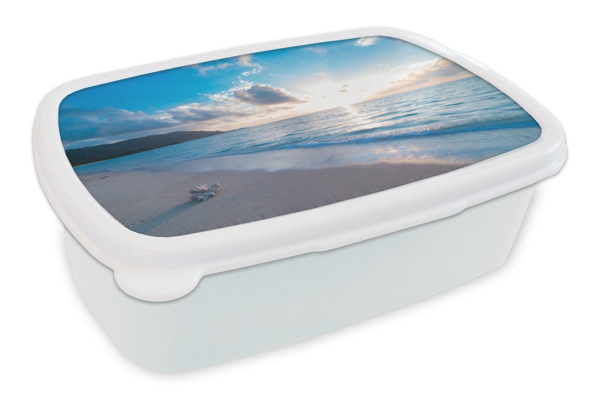 und Lunchbox - - weiß Brotdose, Brotbox Jungs Mädchen für Kinder (2-tlg), Kunststoff, Strand Meer Erwachsene, und für MuchoWow Muschel,