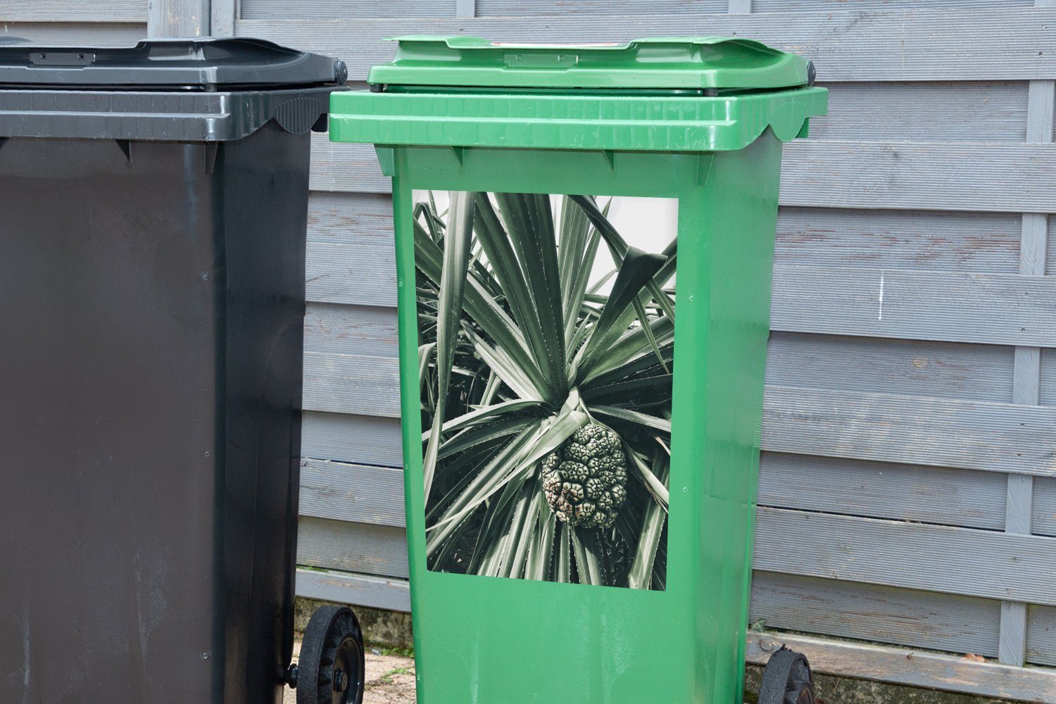 MuchoWow Kaktus St), Container, Sticker, Mülltonne, Wandsticker Grün Abfalbehälter - (1 Mülleimer-aufkleber, Tropisch -