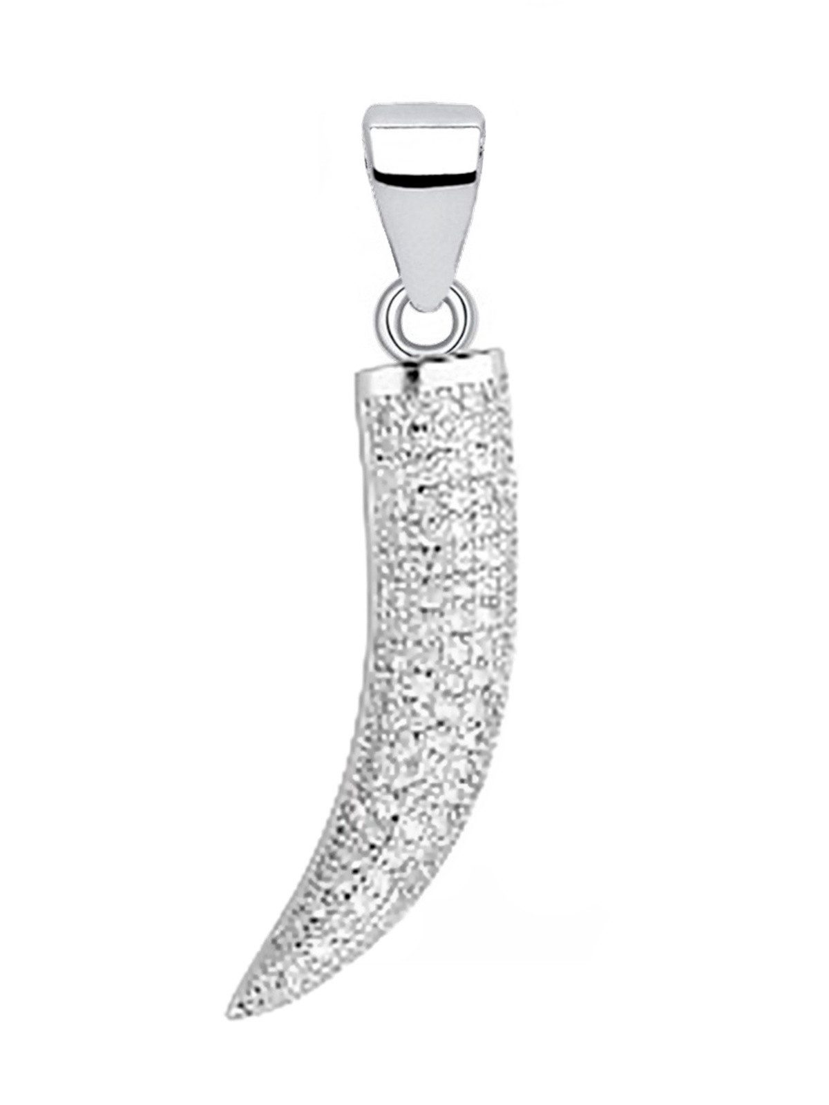 Goldene Hufeisen Kettenanhänger Silber Drachenzahn mit Zirkonia Anhänger 925 Sterling Tierzahn, Silberschmuck für Damen und Herren