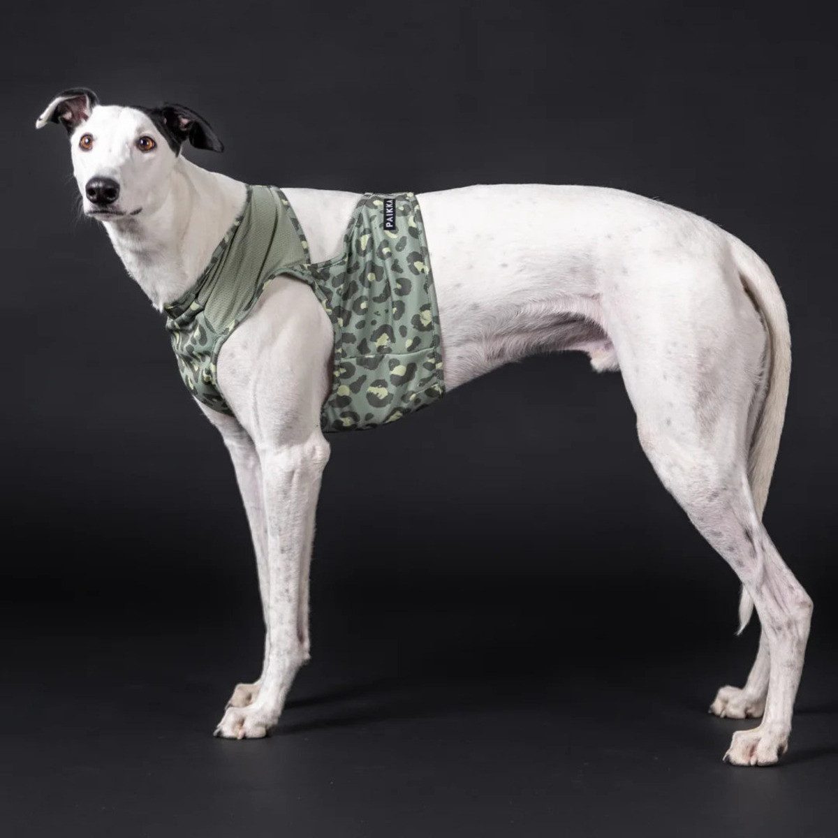 PAIKKA Hundeweste Hunde Kühlweste "Cool Vest" grün Leo