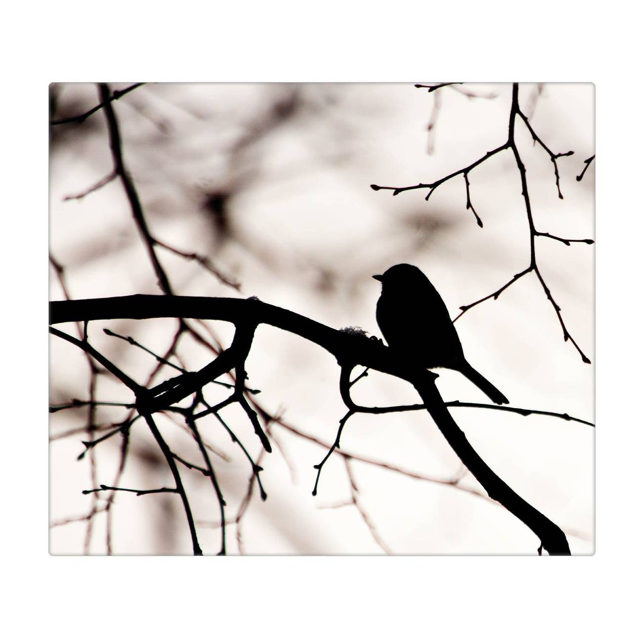 banjado Herd-Abdeckplatte Glas Früher Vogel, (gehärtet, 1 tlg., inkl. selbstklebende Gummifüßchen)