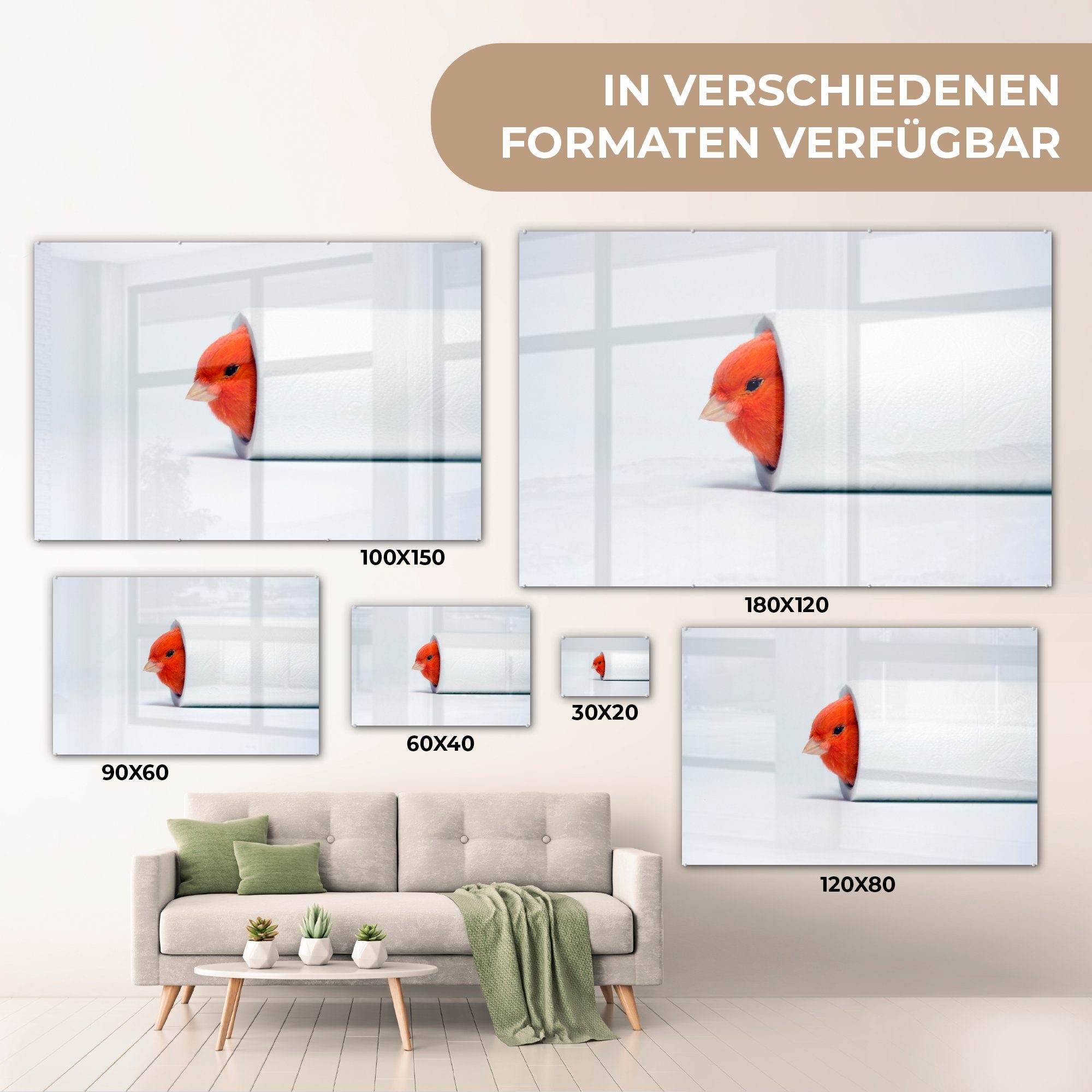 MuchoWow Acrylglasbild Roter & im Schlafzimmer Wohnzimmer Toilettenpapier, Kanarienvogel (1 St), Acrylglasbilder