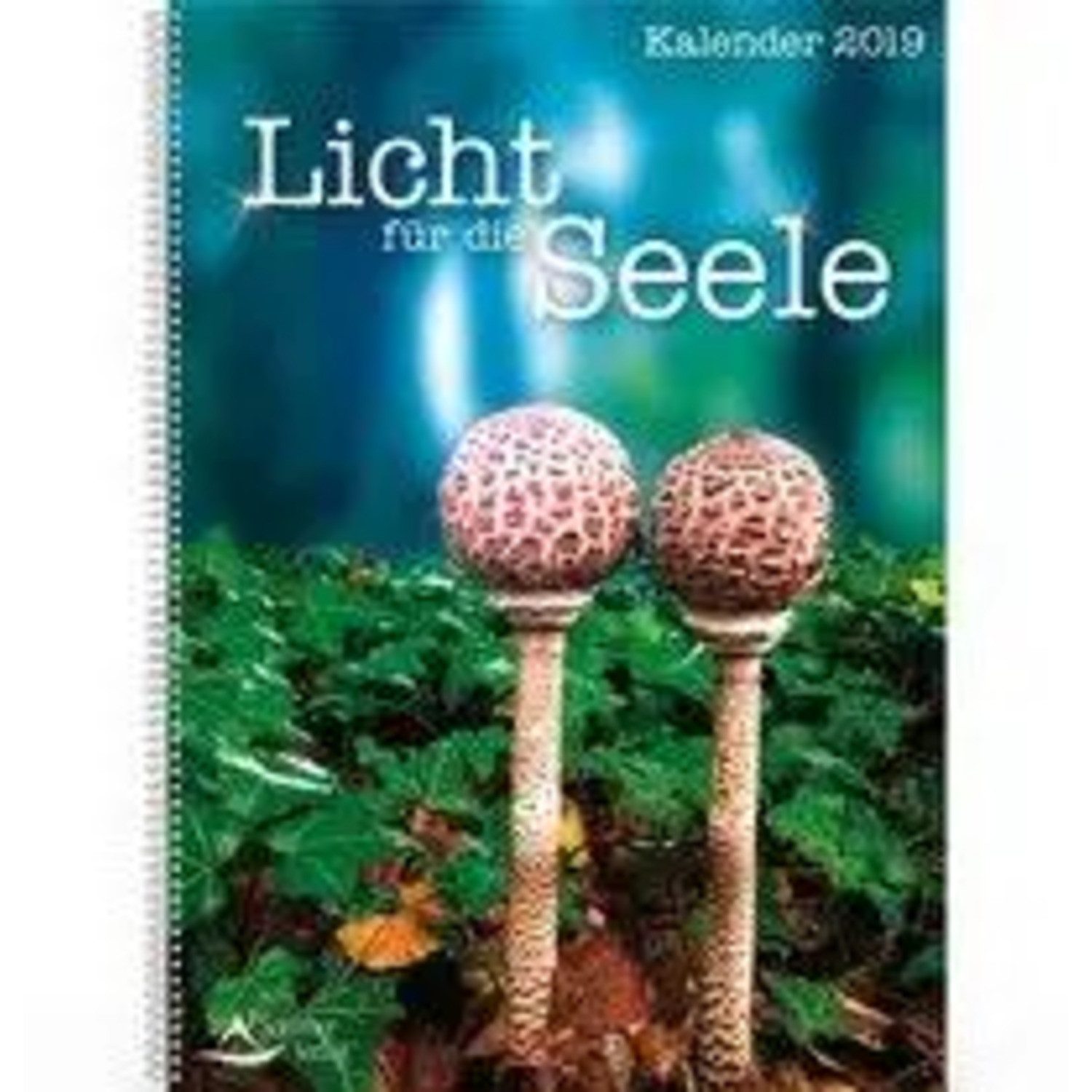 Terminkalender Licht für die Seele - Календари 2019