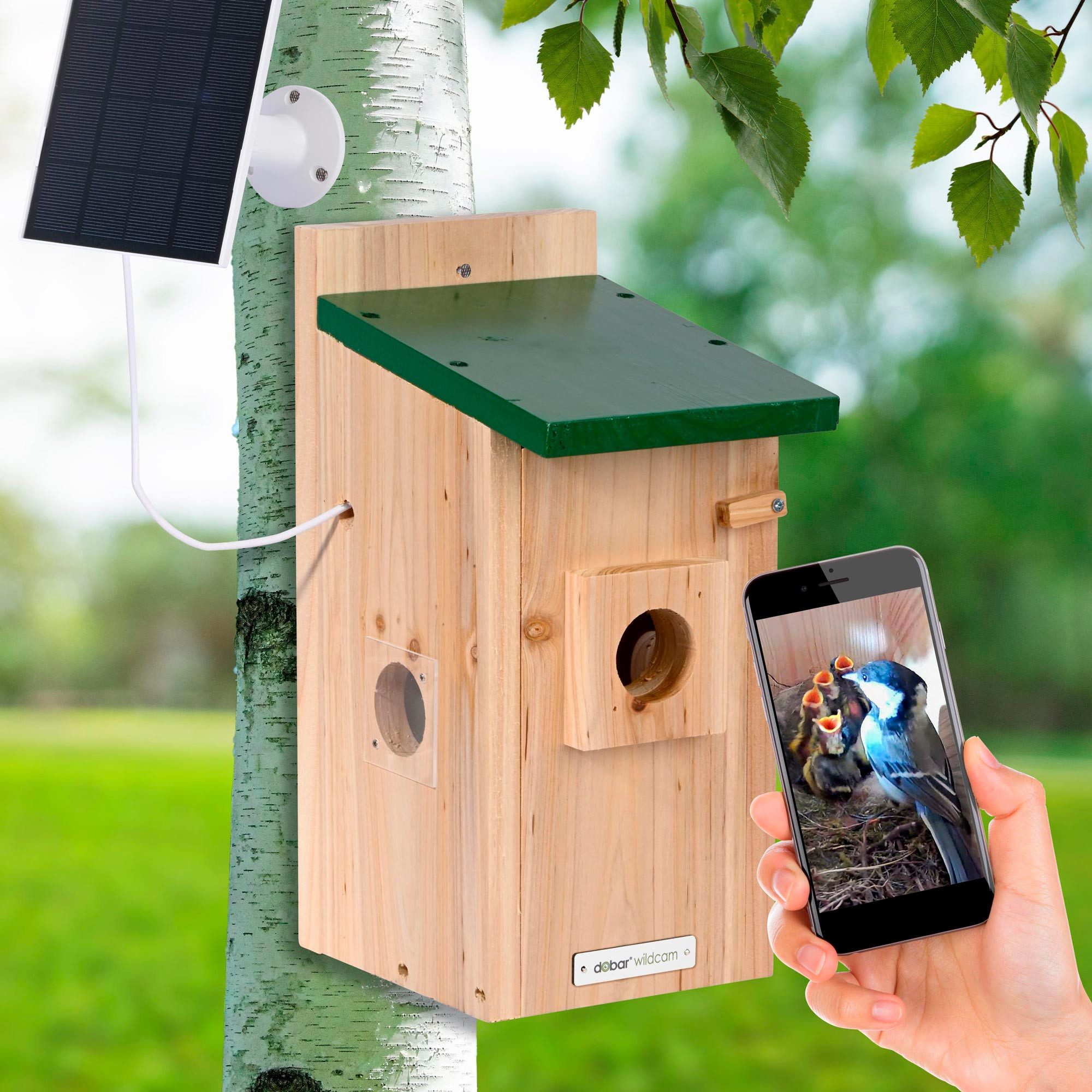 dobar Vogelhaus Nistkasten EAZY Flachdach inkl. günstig online kaufen