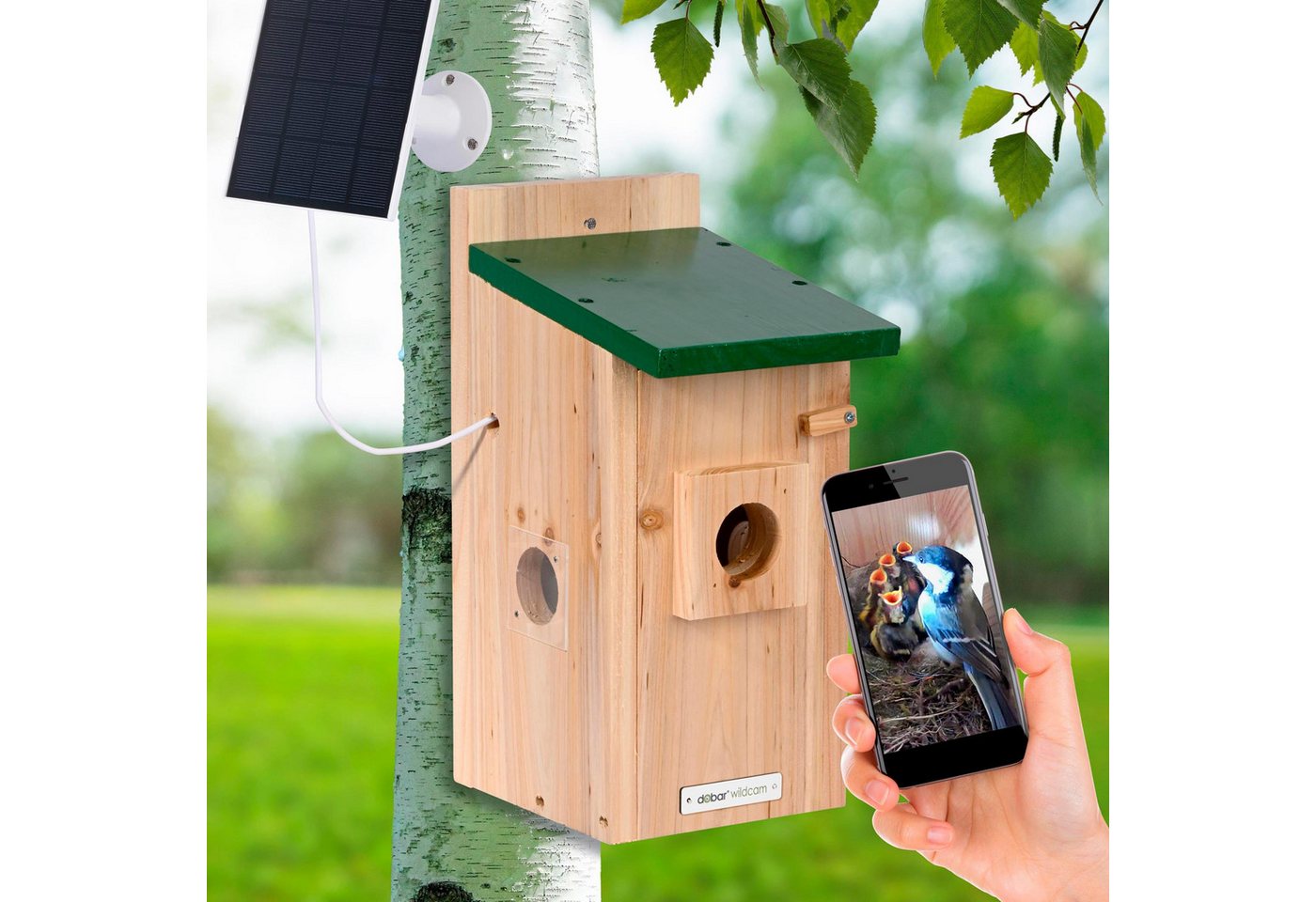 Thumbnail - dobar Vogelhaus Nistkasten EAZY Flachdach inkl. WiFi Kamera und Solar-Panel, Grün