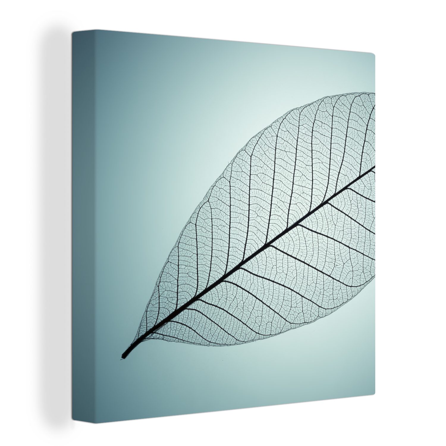 OneMillionCanvasses® Leinwandbild Bild eines botanischen Blattskeletts im Hintergrund mit der Farbe Cyan, (1 St), Leinwand Bilder für Wohnzimmer Schlafzimmer