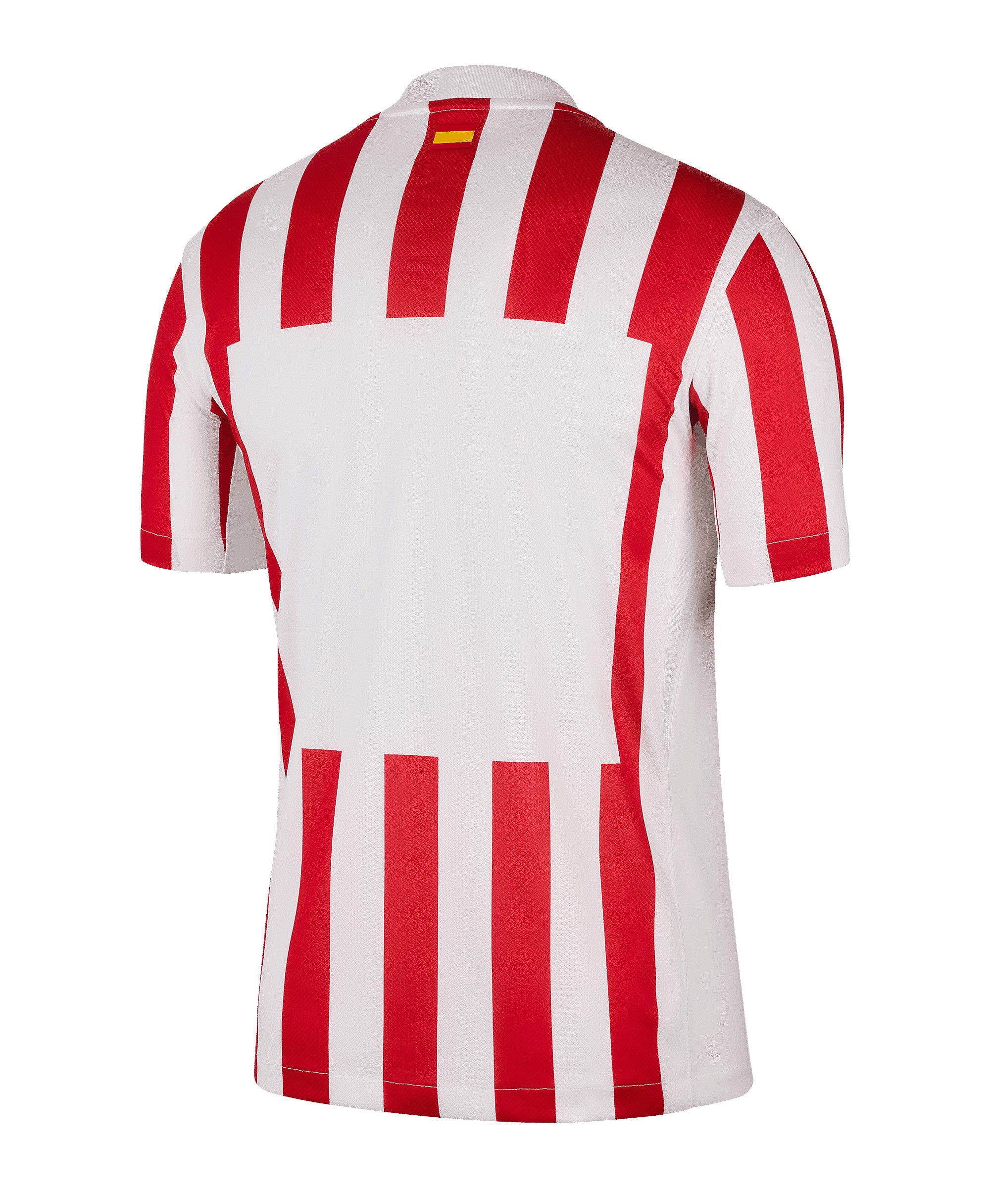 Nike Fußballtrikot Nike Performance Teamsport günstig online kaufen