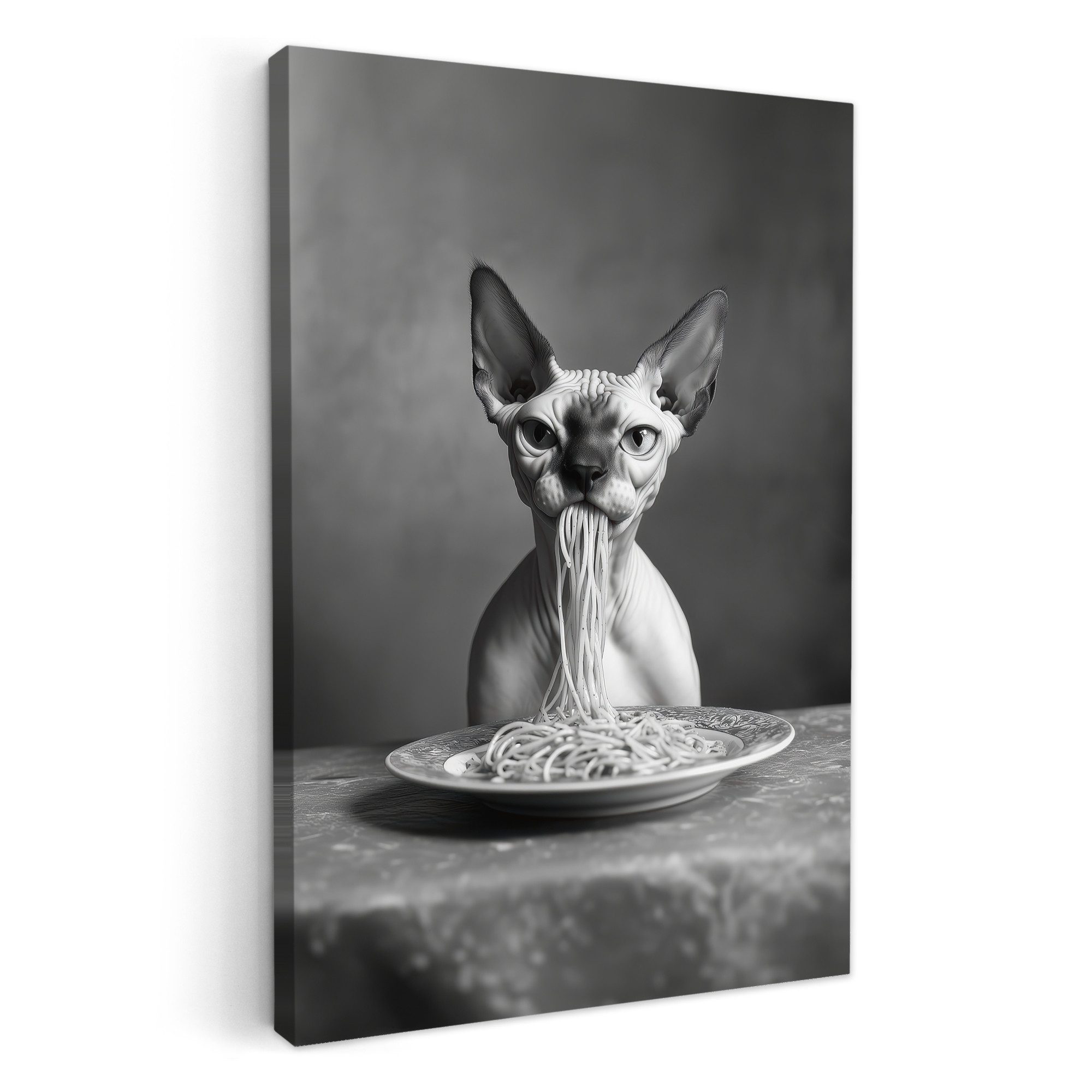 OneMillionCanvasses® Leinwandbild Sphynx - Katze - günstig online kaufen
