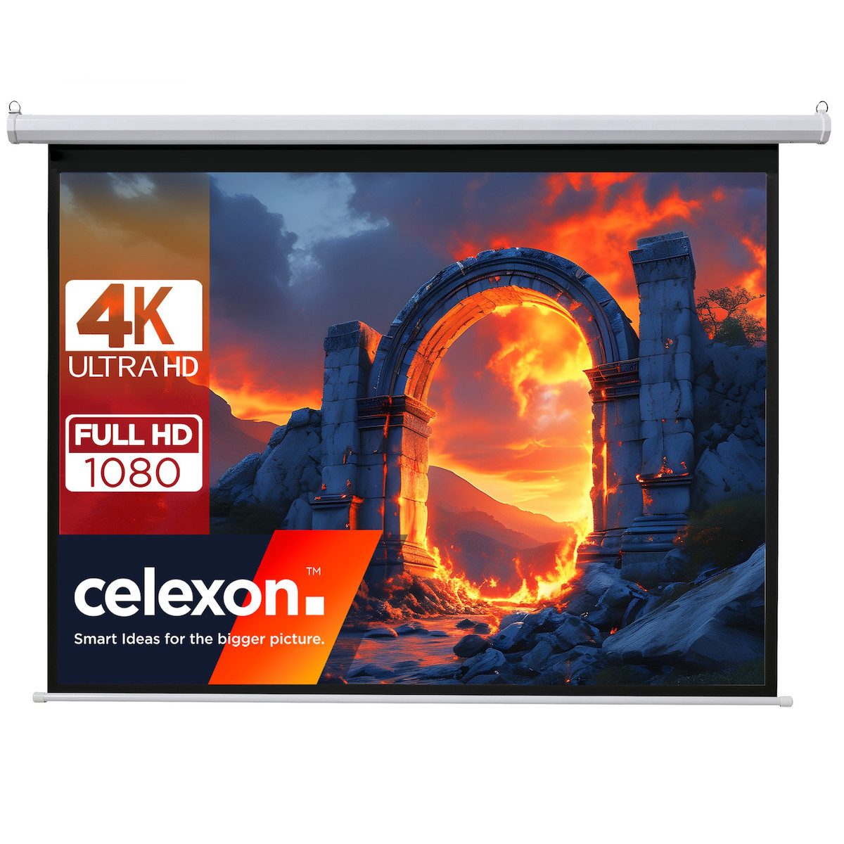 Celexon basic line Rolloleinwand (schwarze Rückseite)